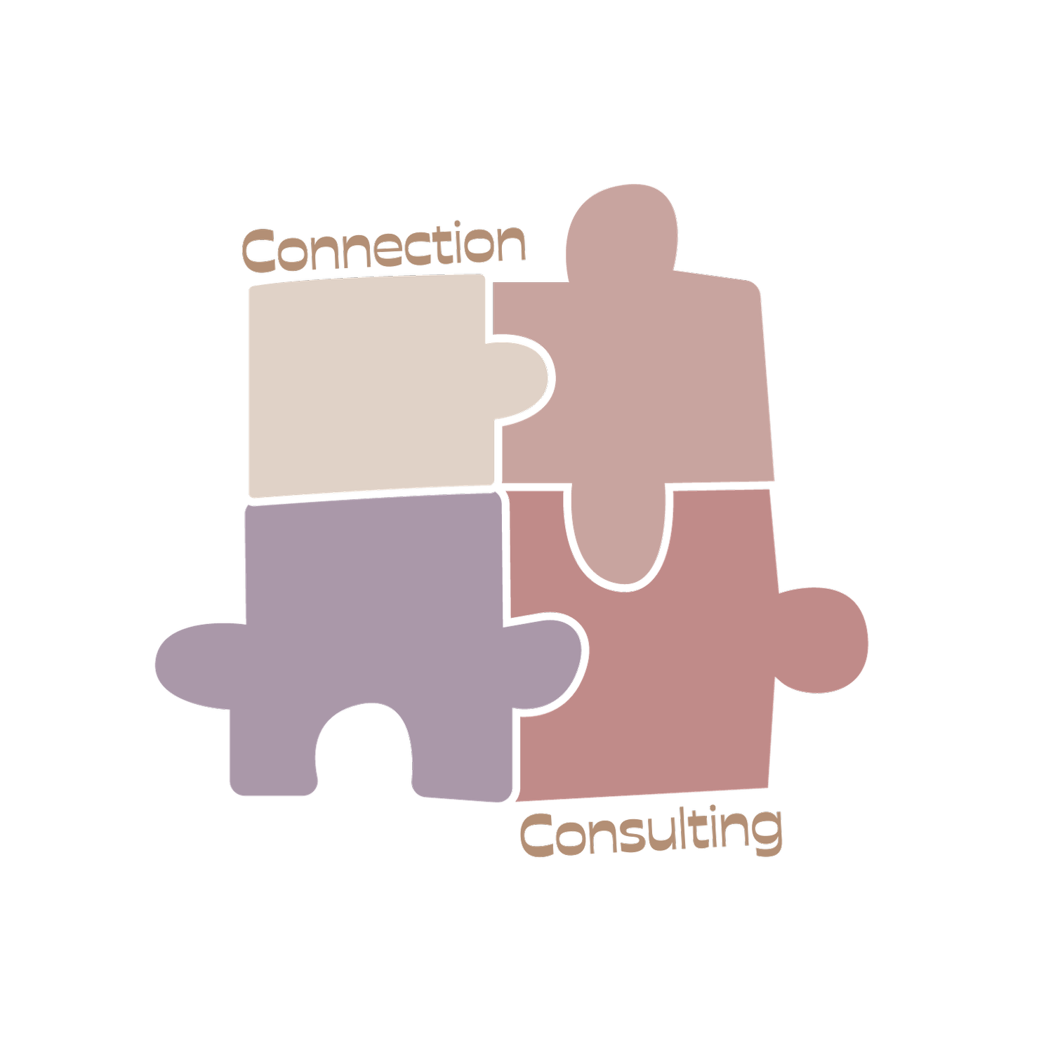 Connection Consulting LLC