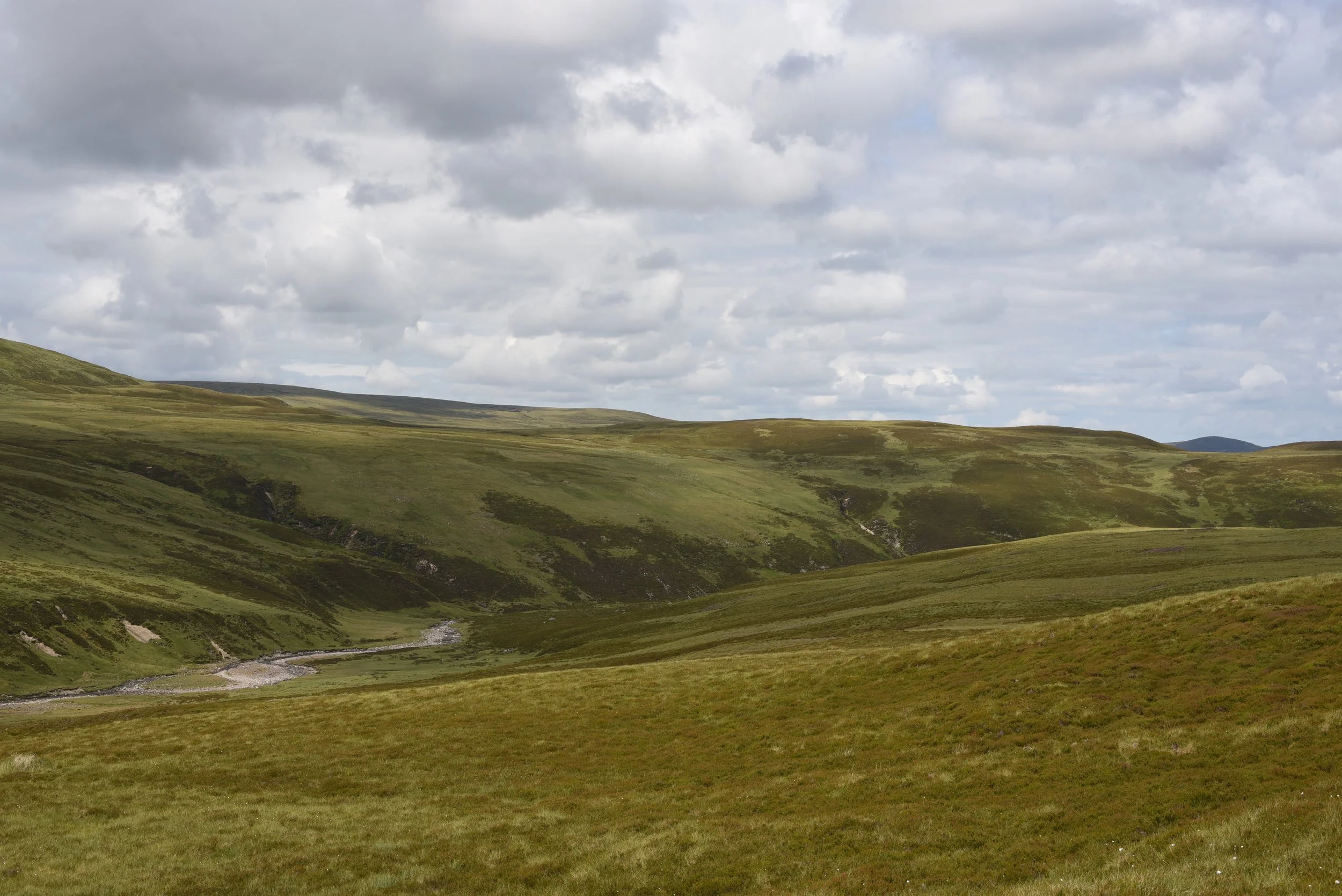 Supplementary Environmental Information Submitted
