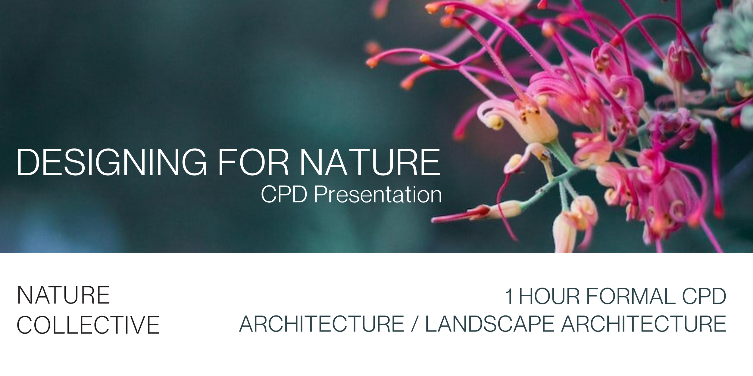 Designing for Nature CPD Presentation Banner.png