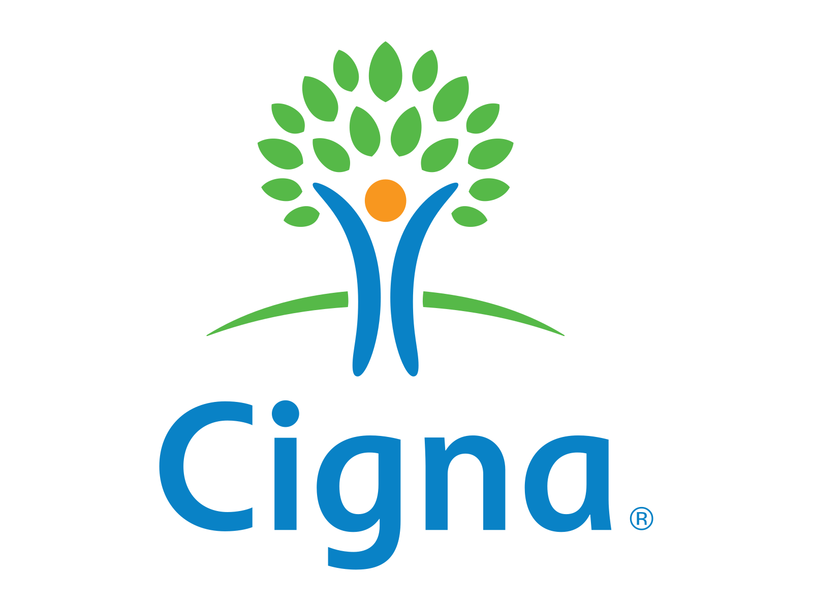 cigna-main-horizontal-brand-logo-green-blue-orange-tree-symbol-healthcare-design (2).png