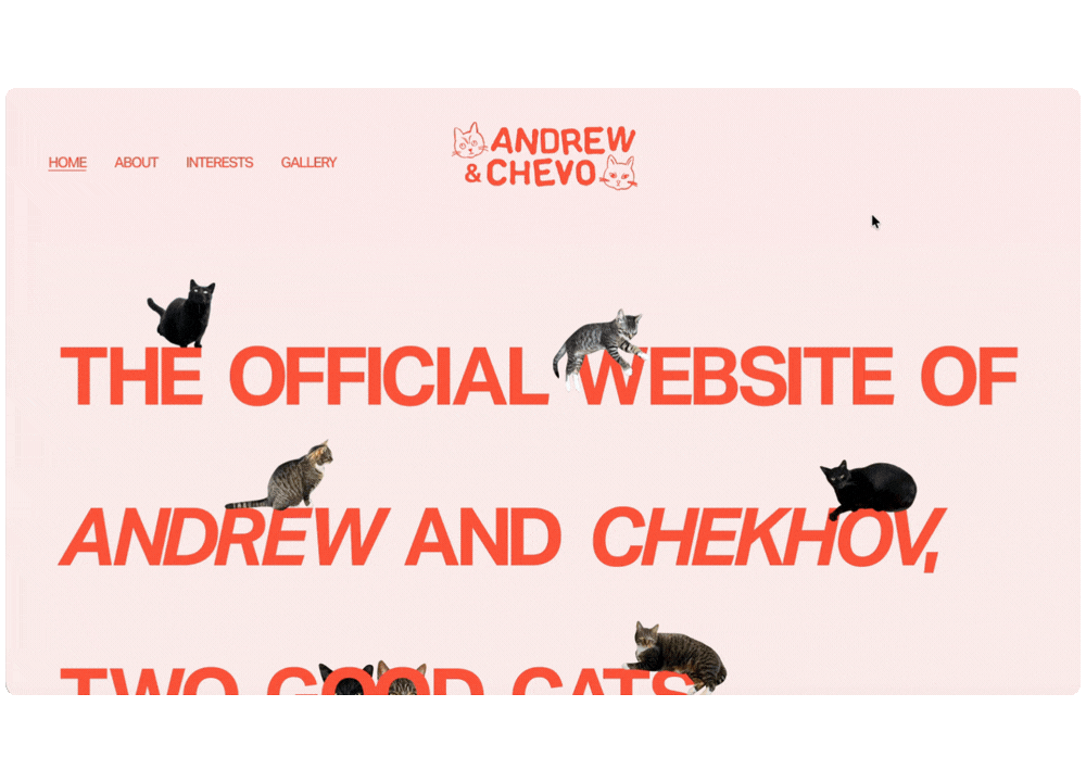 Category: OTHER, WEB DESIGN