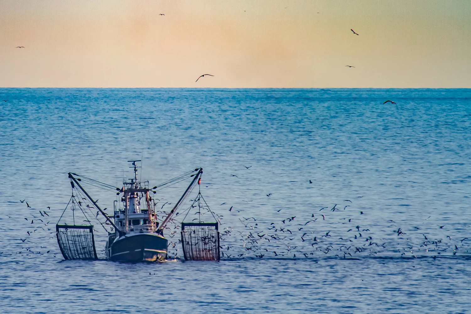 What is Forced Labor & Human Trafficking — Free Human Project
