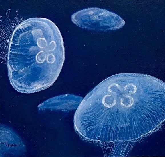 Jellies: Oil painting. 6 x 6 in. February, 2026.