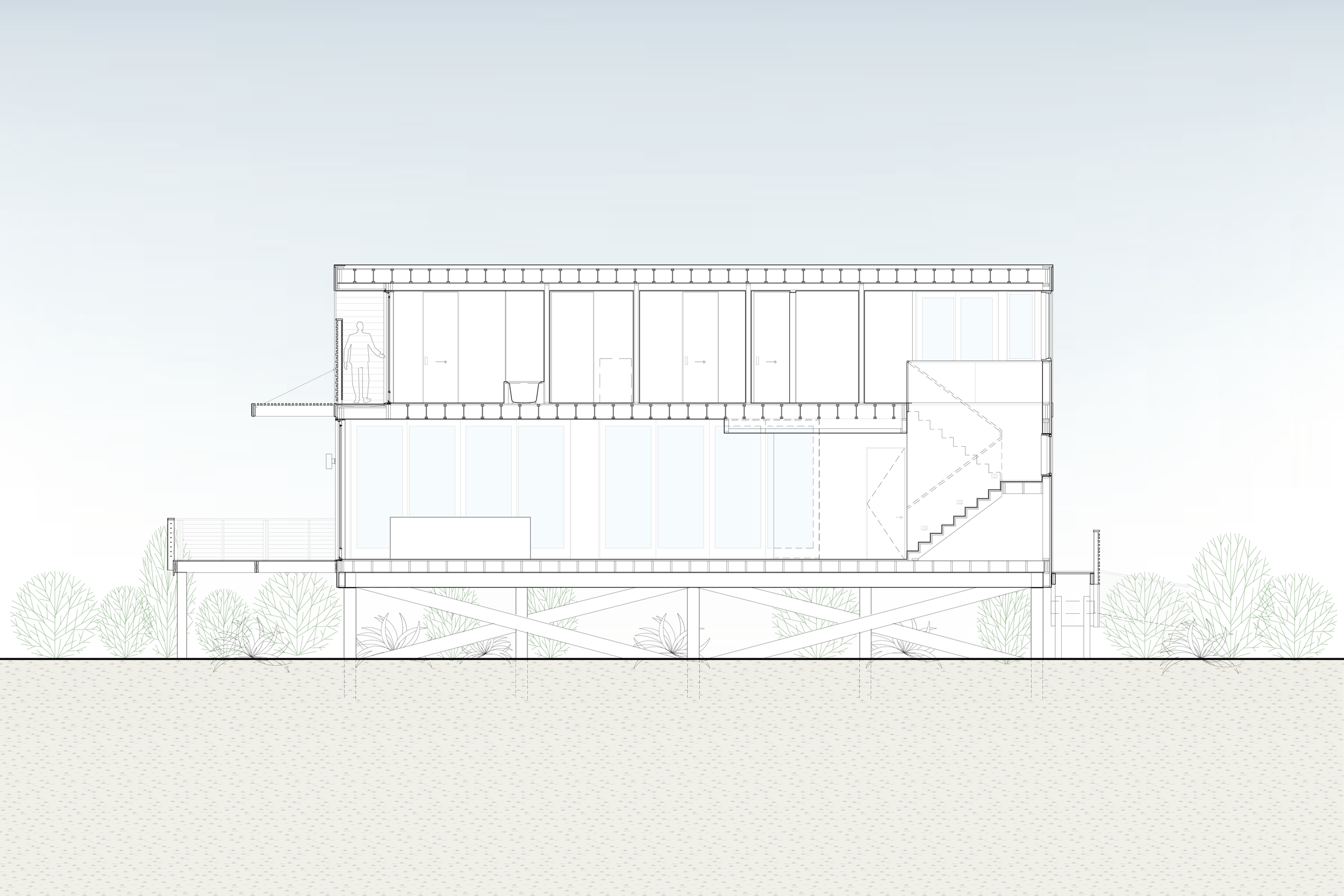 Section.png