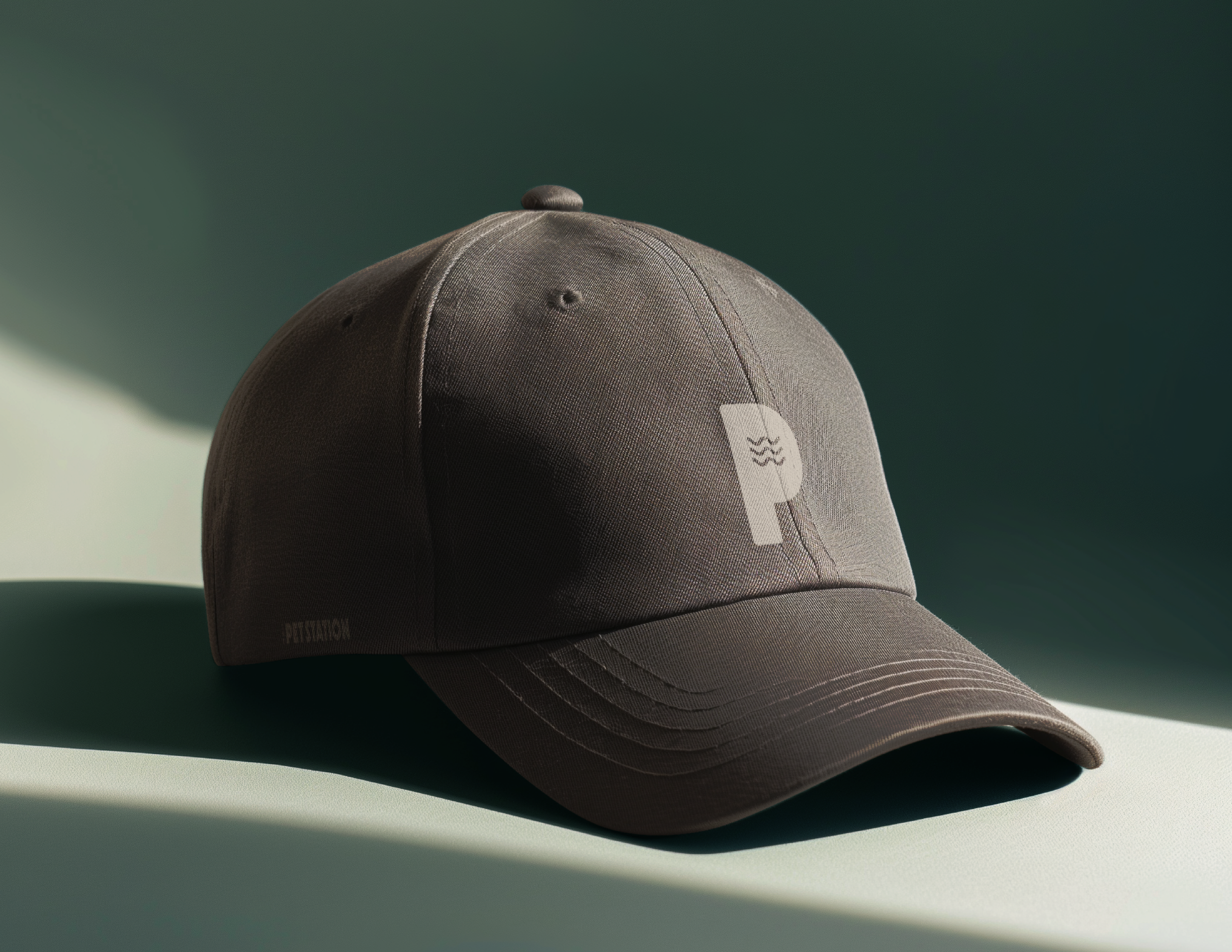 The Pet Station - Brand Guidelines FINAL_Hat.png