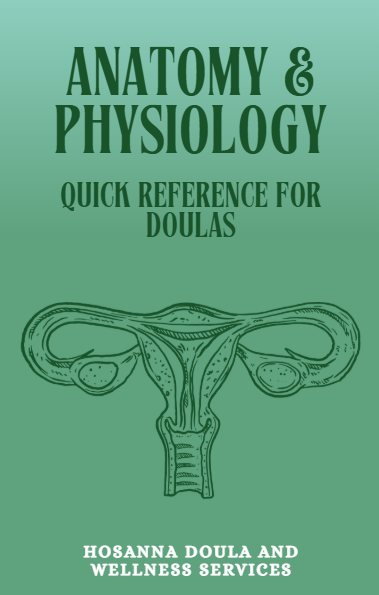 ANATOMY & PHYSIOLOGY: Quick Reference for Doulas