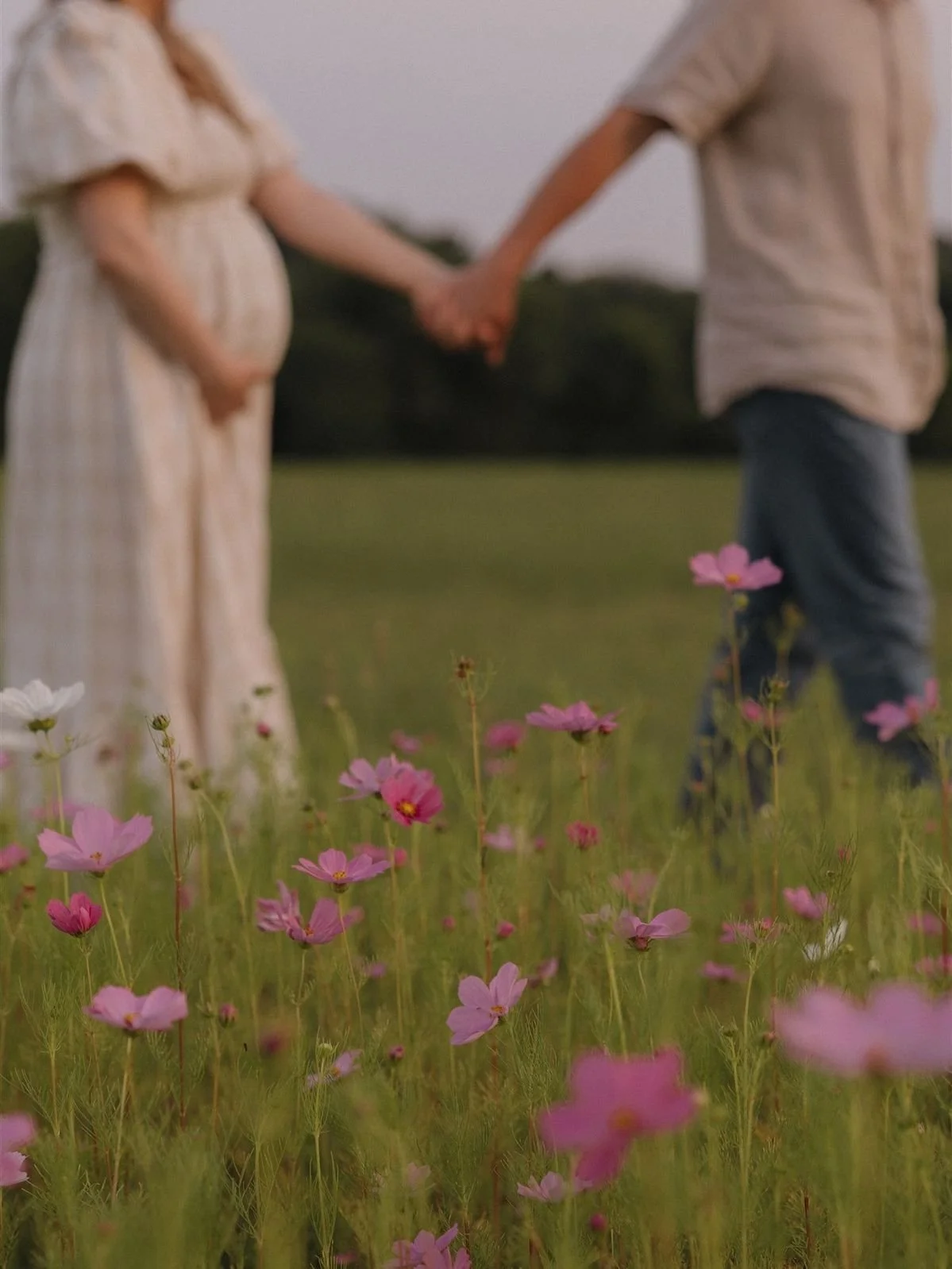 A couple holding hands in a field of pink and white flowers during sunset, with a pregnant woman in a white dress and a man in a beige shirt and jeans.
