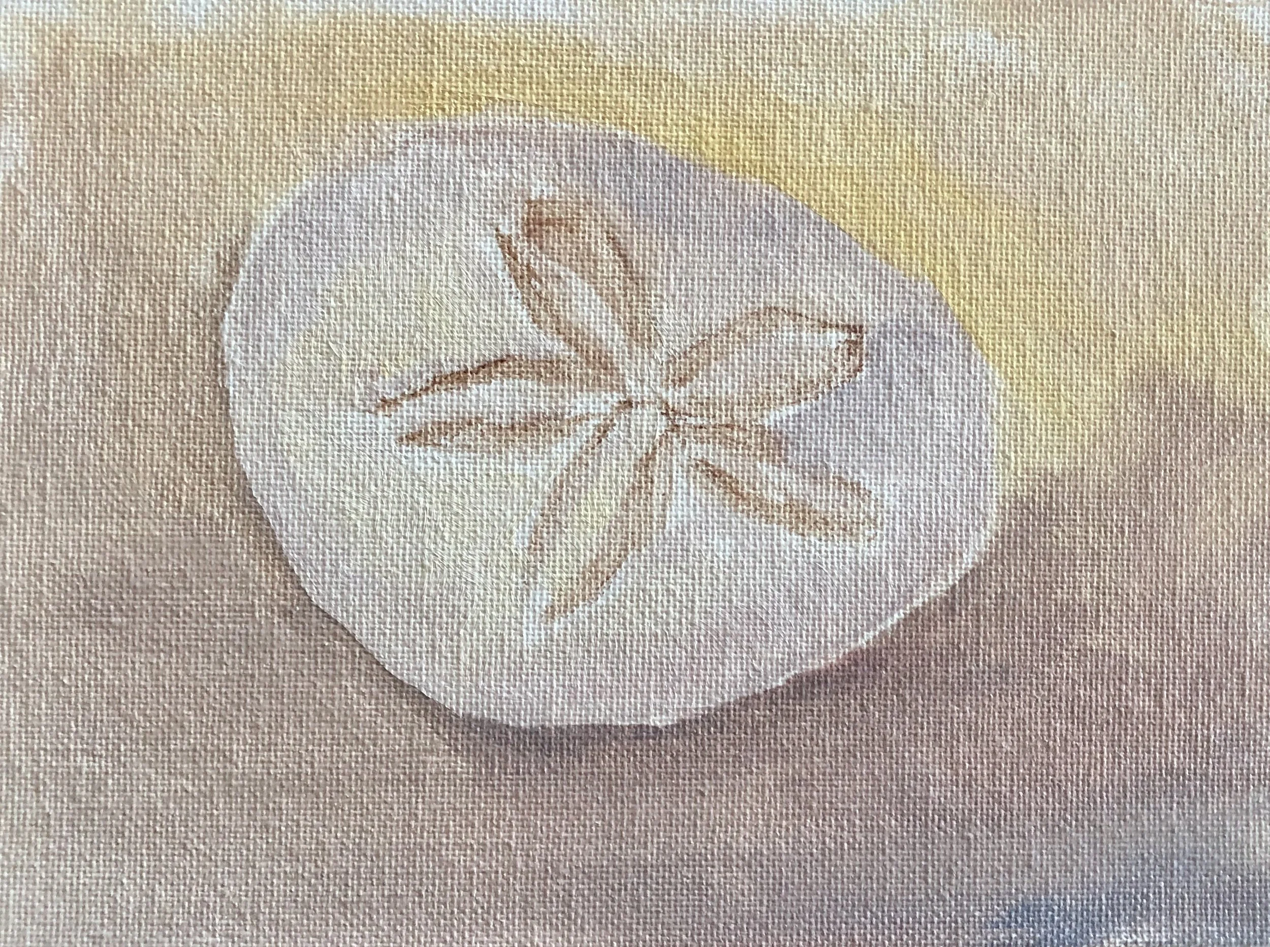 Sand Dollar I.jpeg