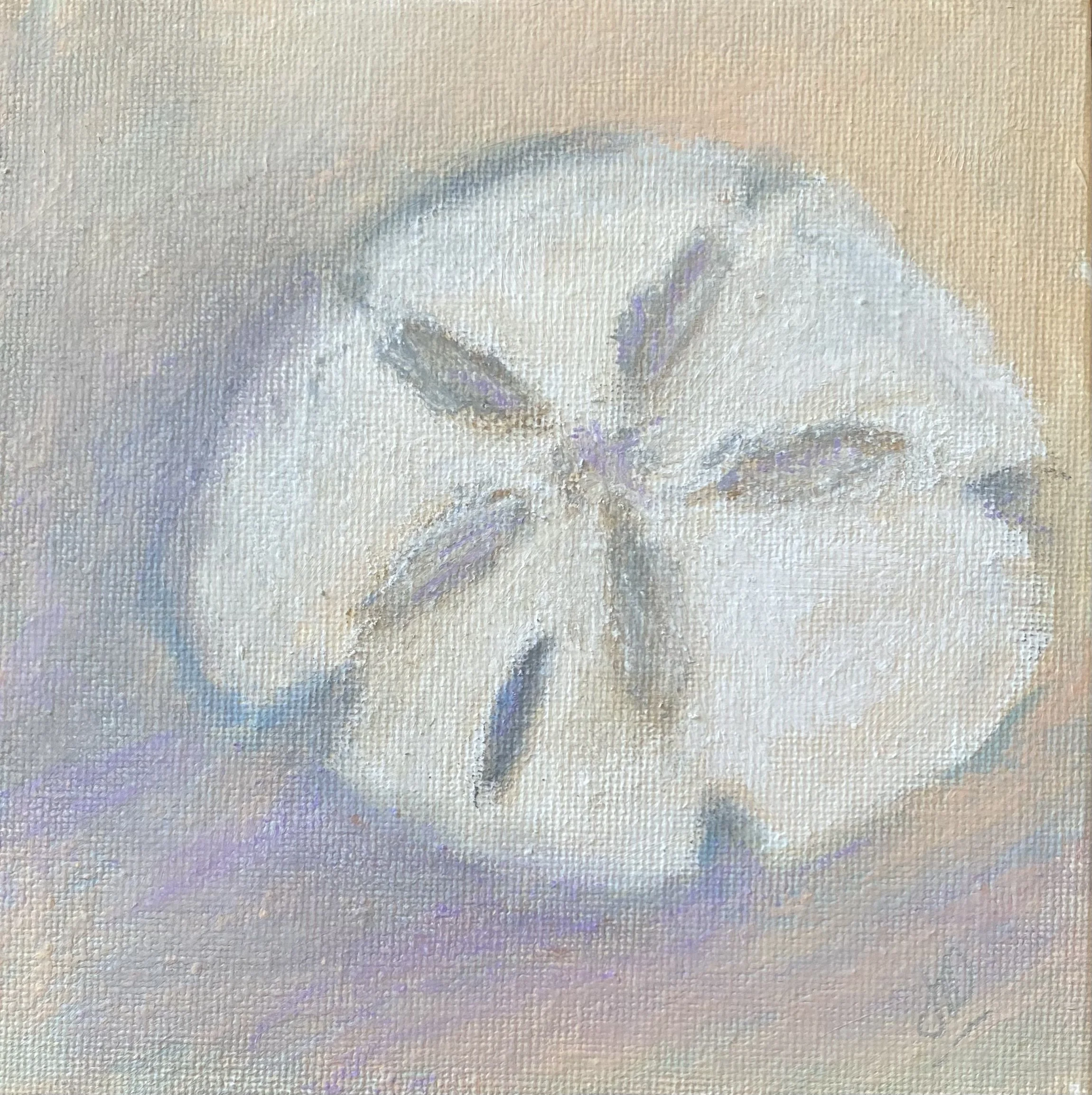Sand Dollar II.jpeg
