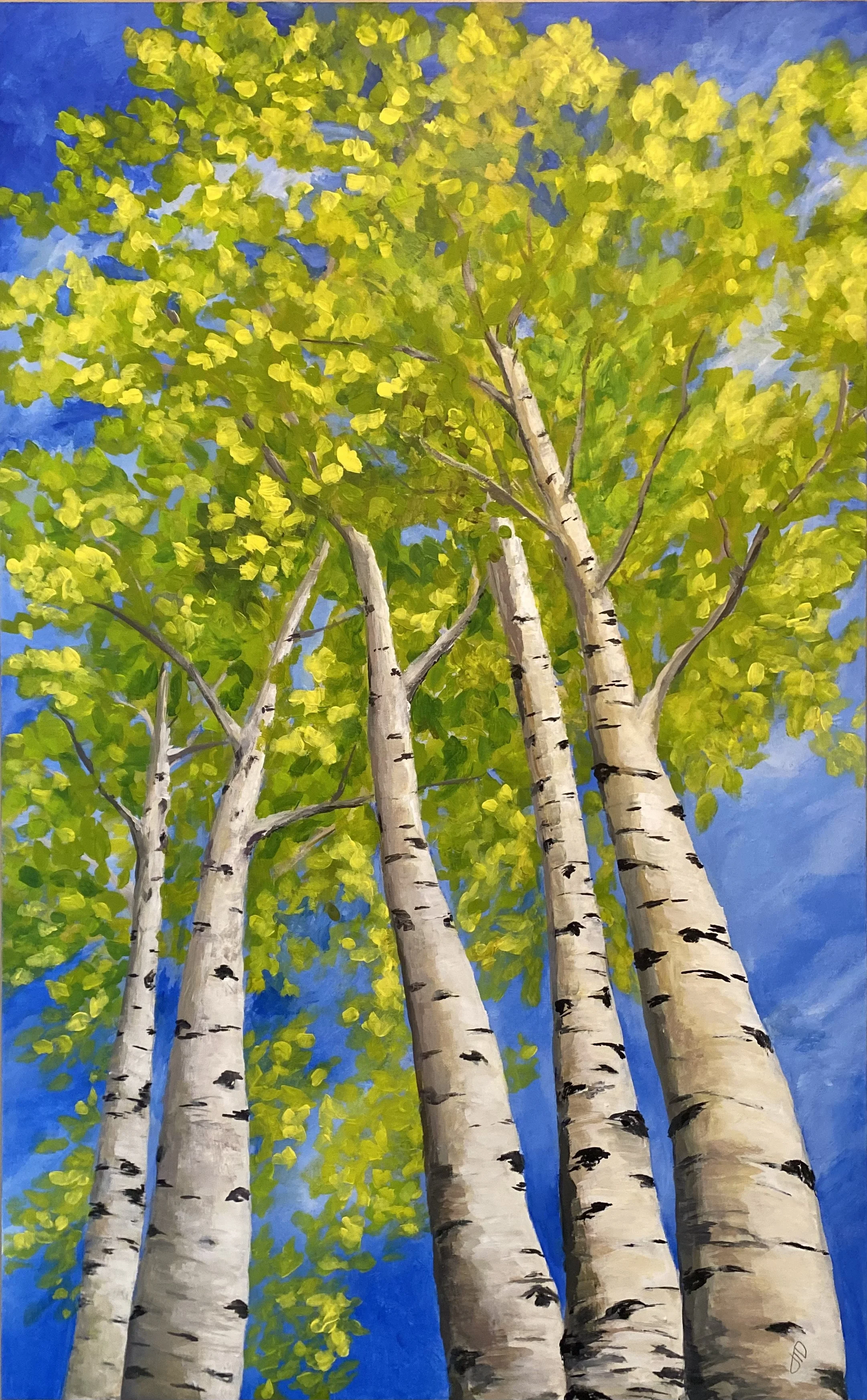 Summer Aspens II jpeg.jpeg