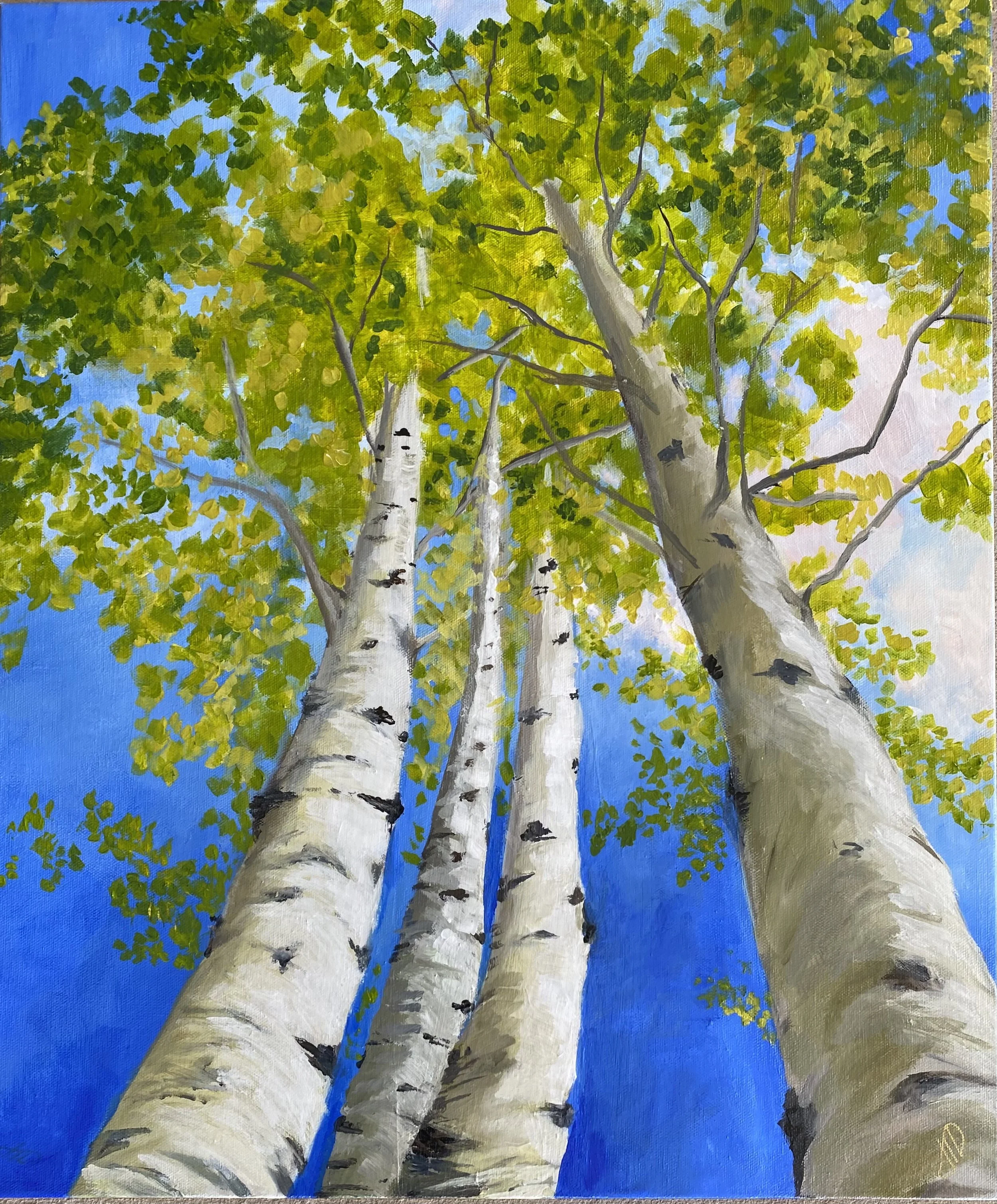 Summer Aspens.jpeg