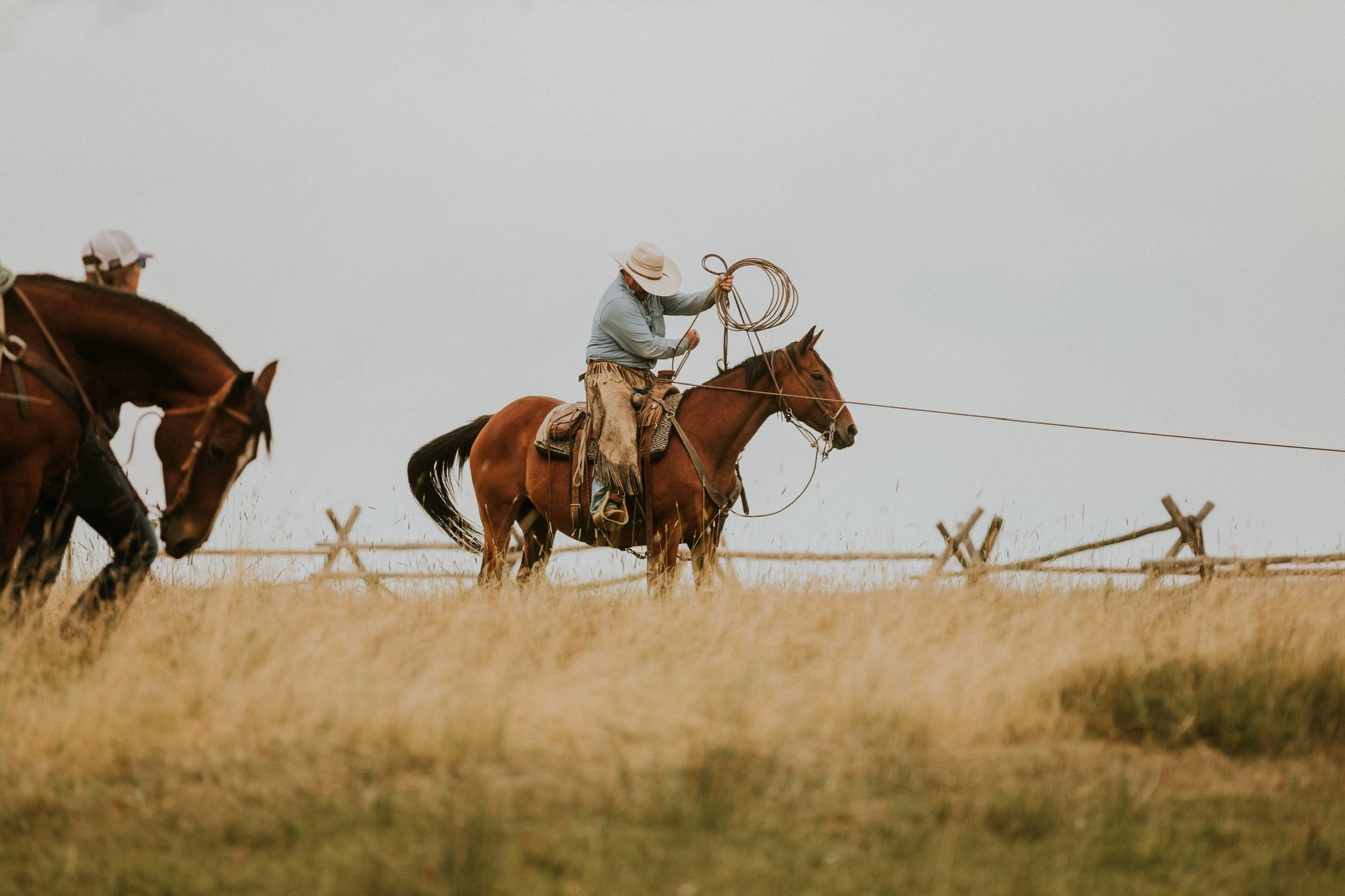 Ranch Lifestyle Option 1
