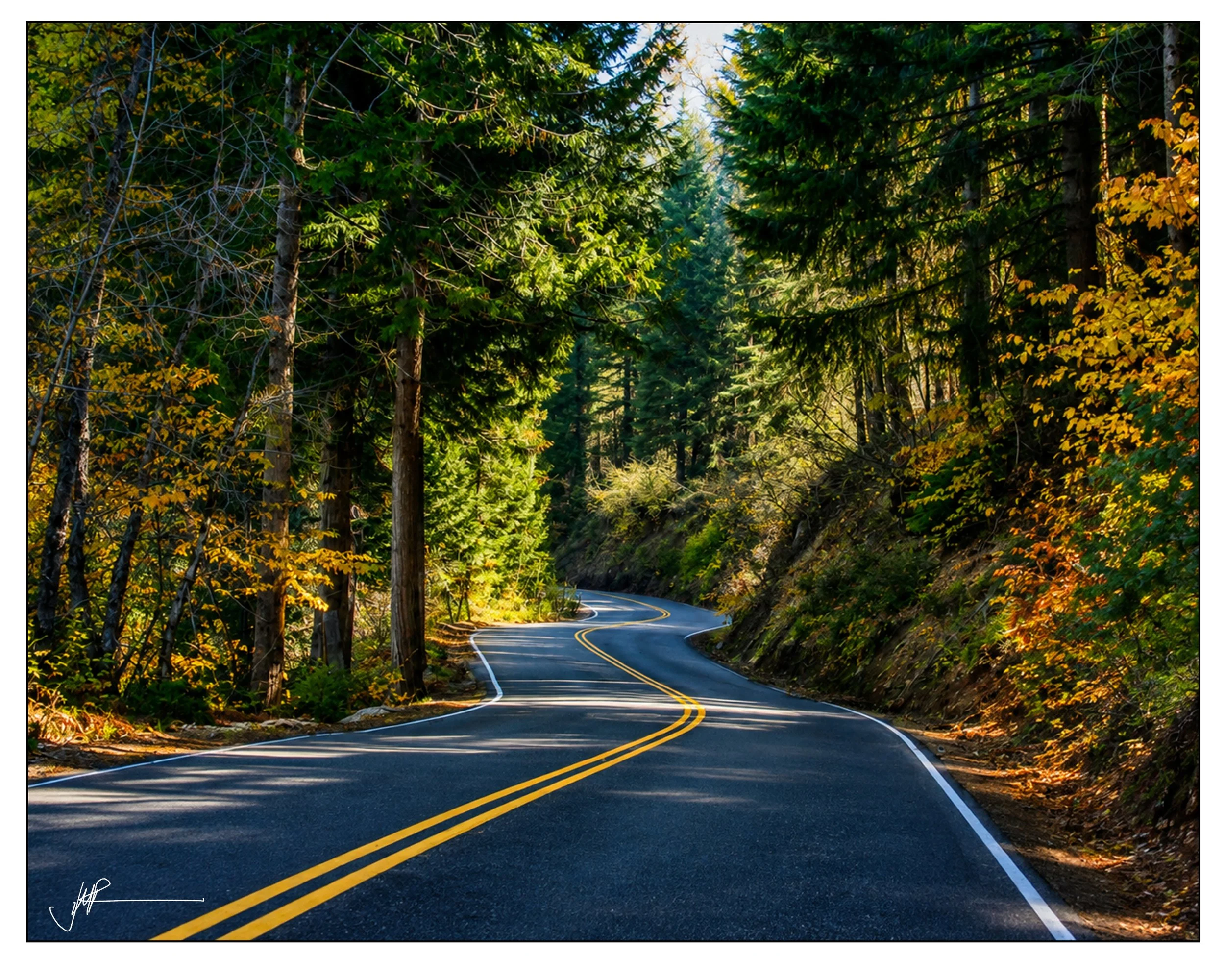 Tennesee Road.jpg