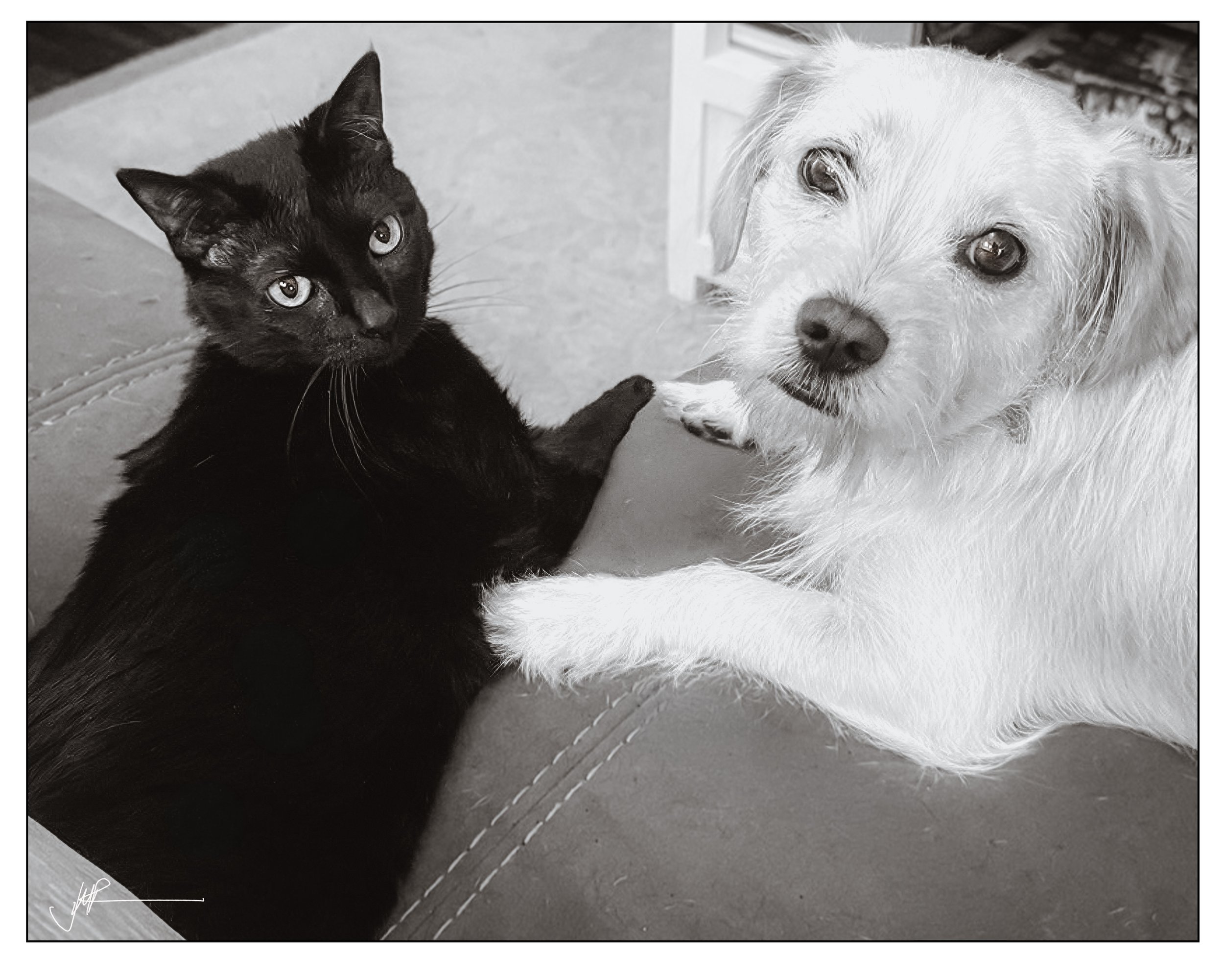 JMR Luna & Clover #2.jpg