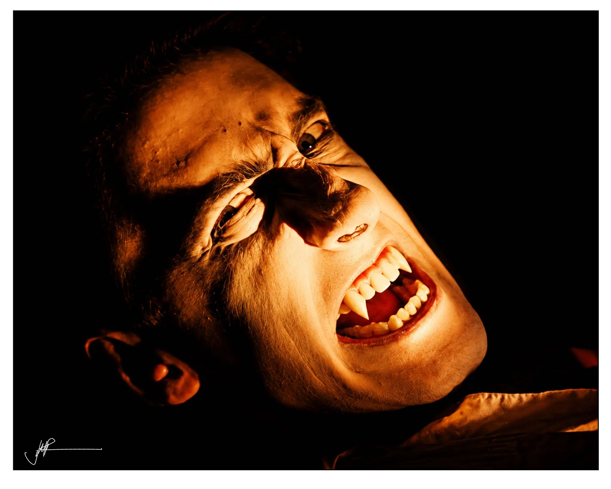 TOCS VAMPYRE.jpg
