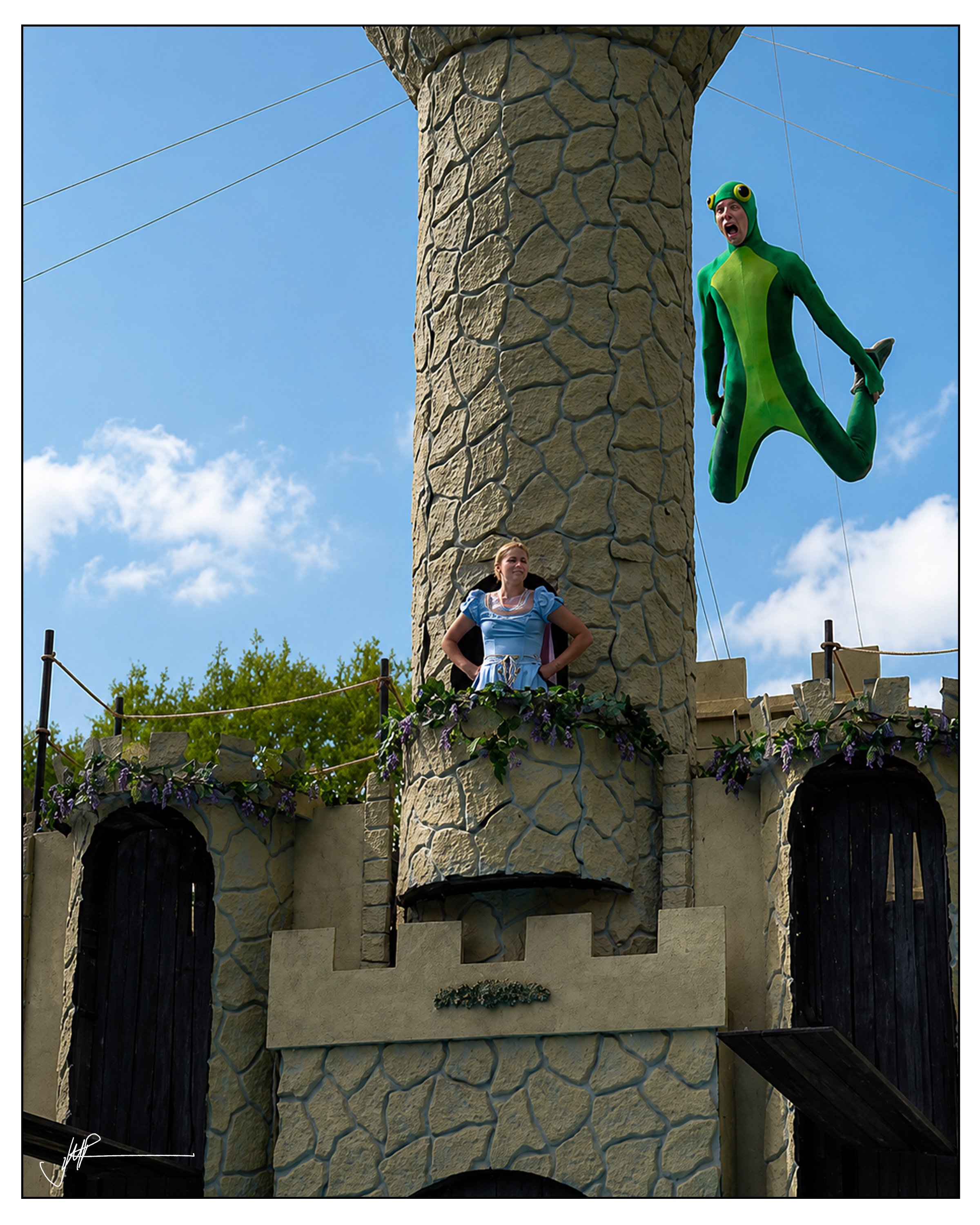 The Adventures Of The Frog Prince.jpg