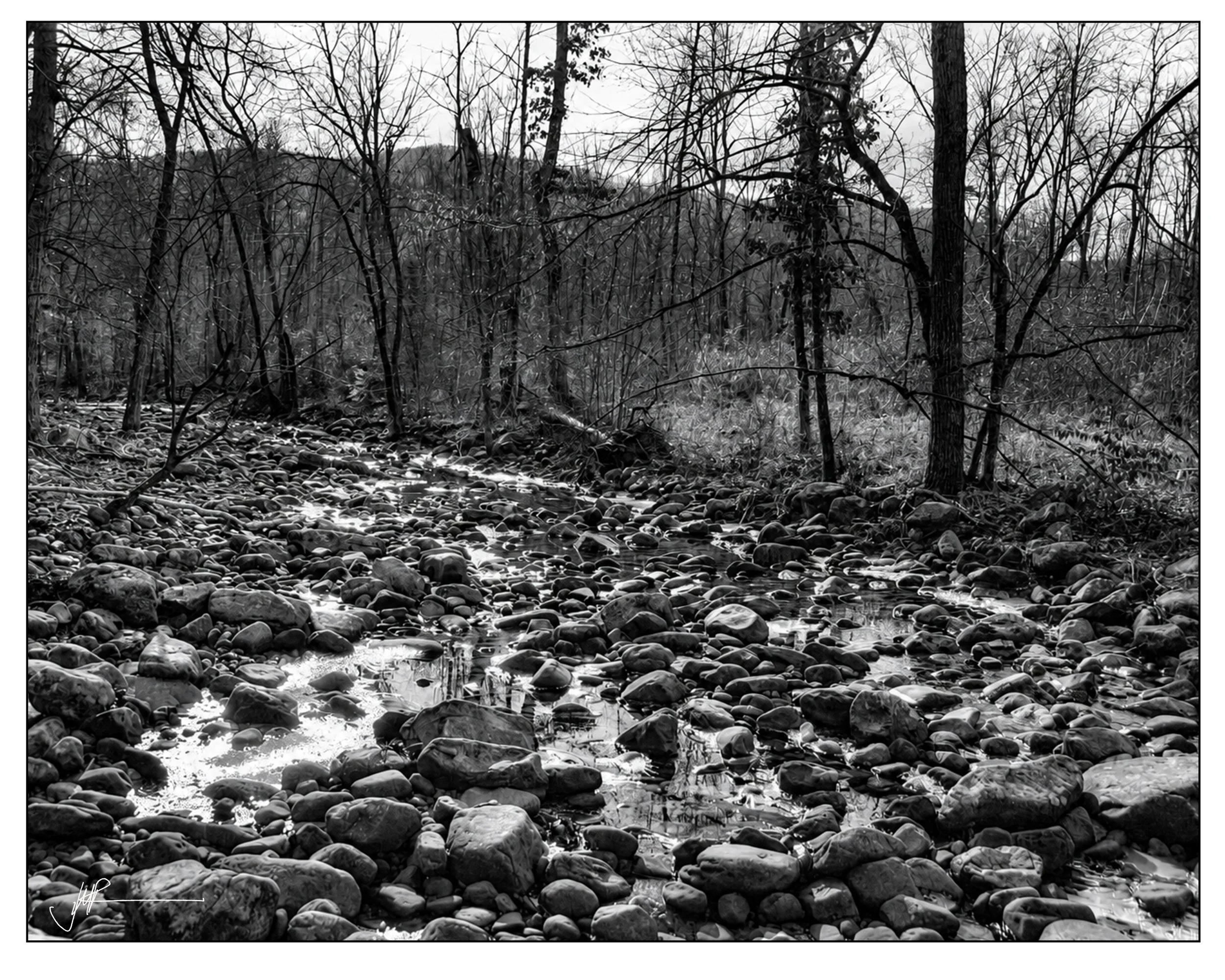Tennessee Dried River Winter.jpg