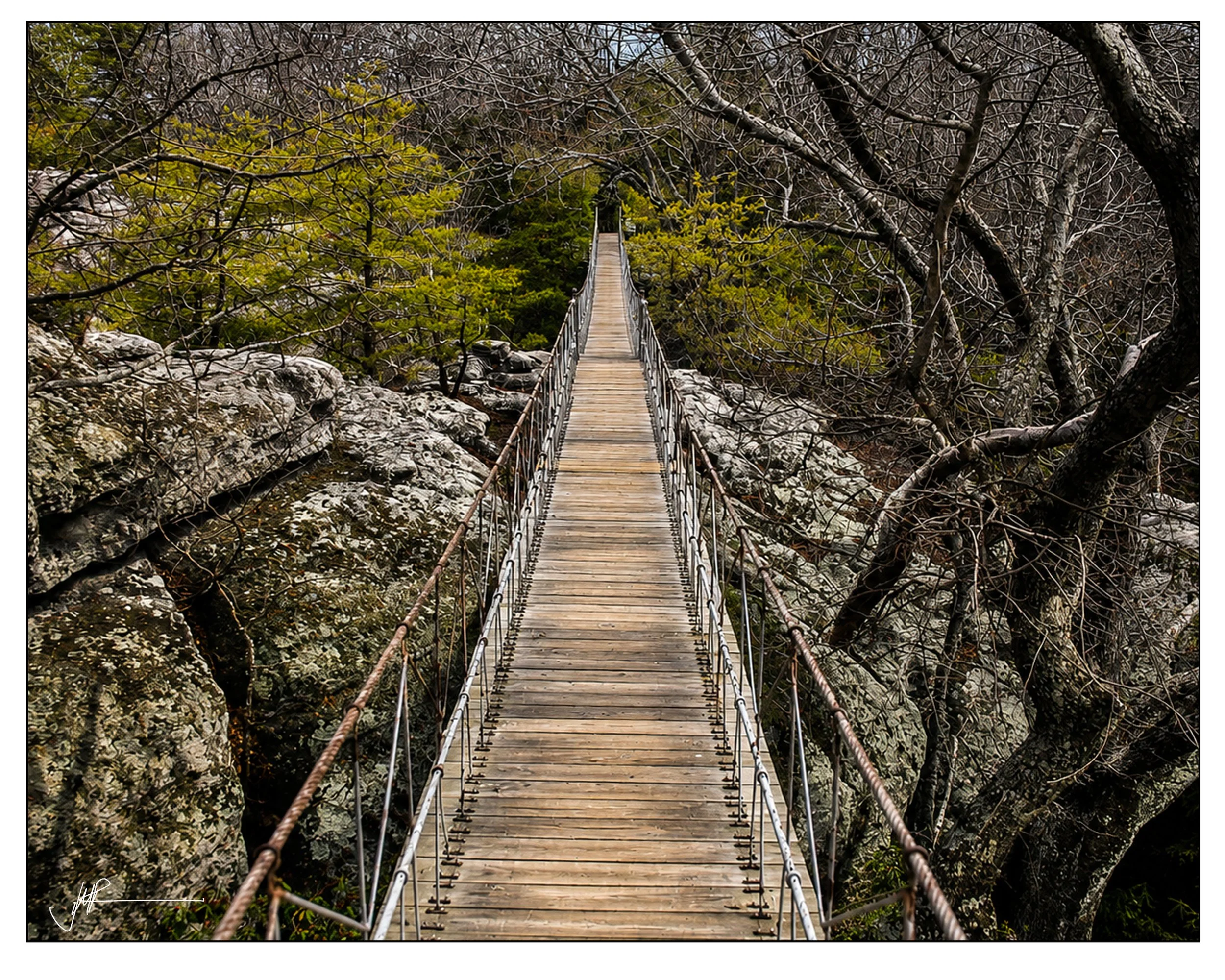 Tennessee Bridge.jpg