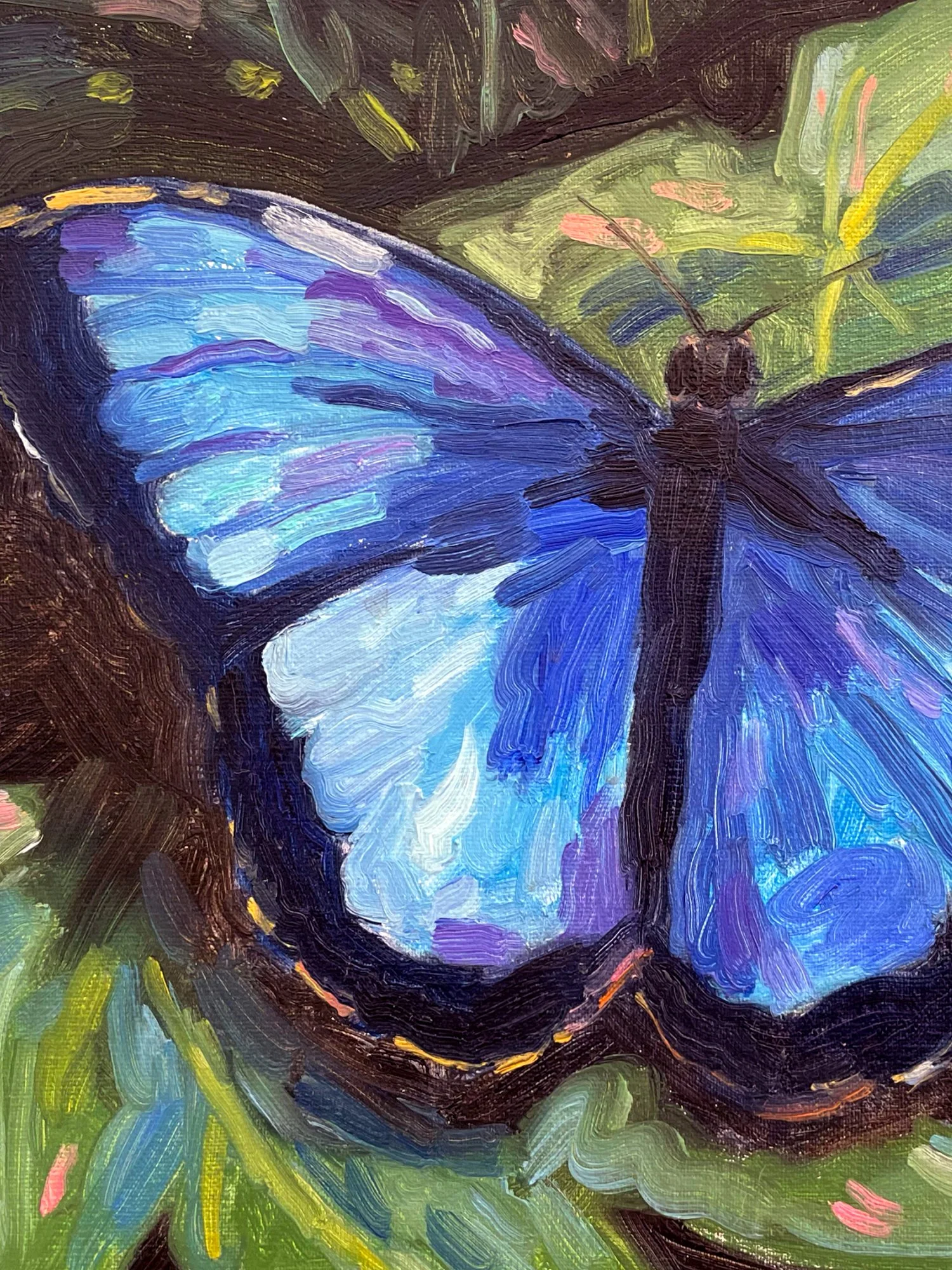Shop-original-Butterfly-03.jpg