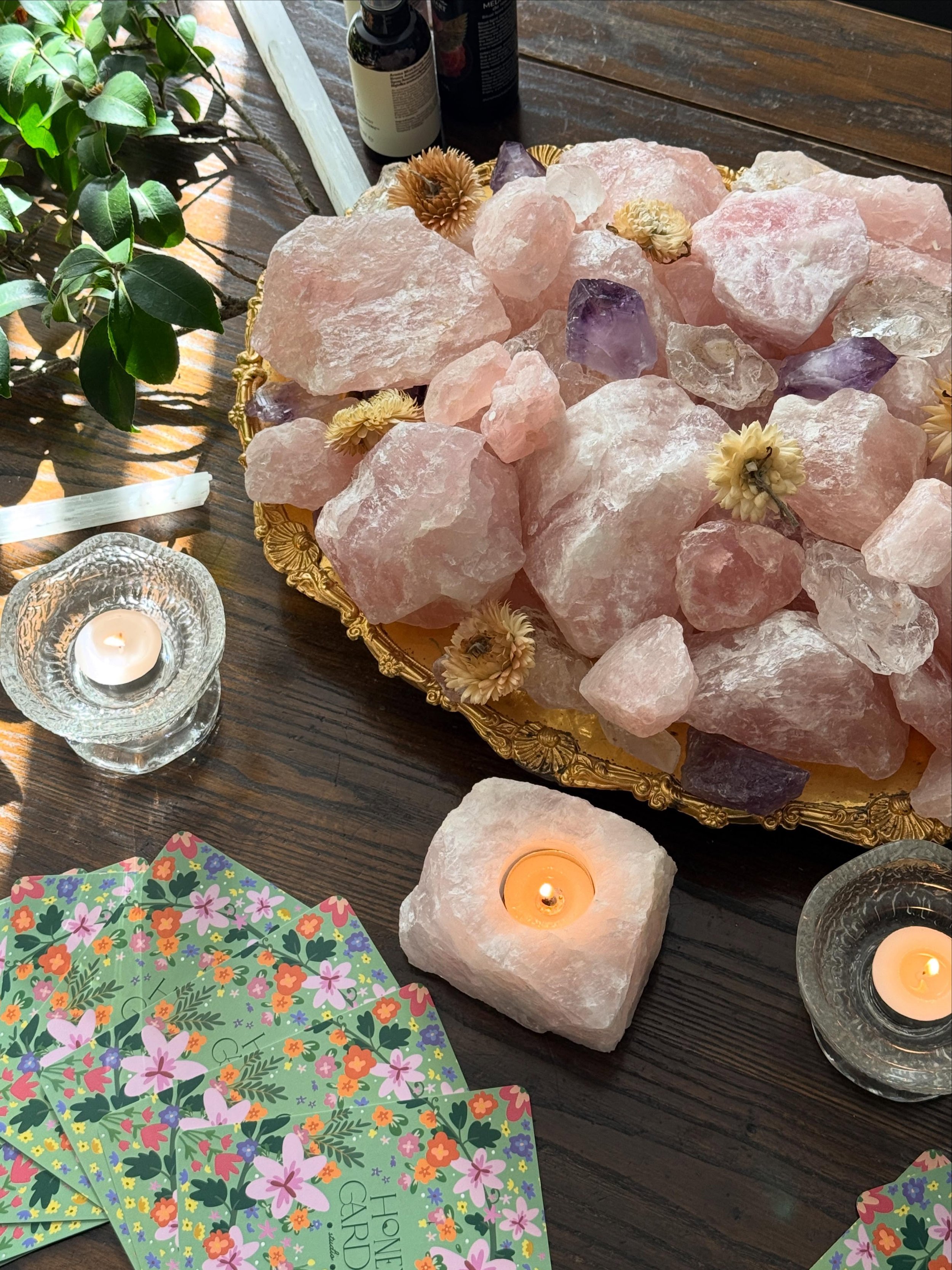 Some dreamy photos from @alishabhojwani_ 's Divine Feminine Activation workshop she hosted last month 😍🤎💫 If you're in Sydney, she has another one coming up next month!! 

I love seeing the beautiful, special and meaningful ways these cards are be