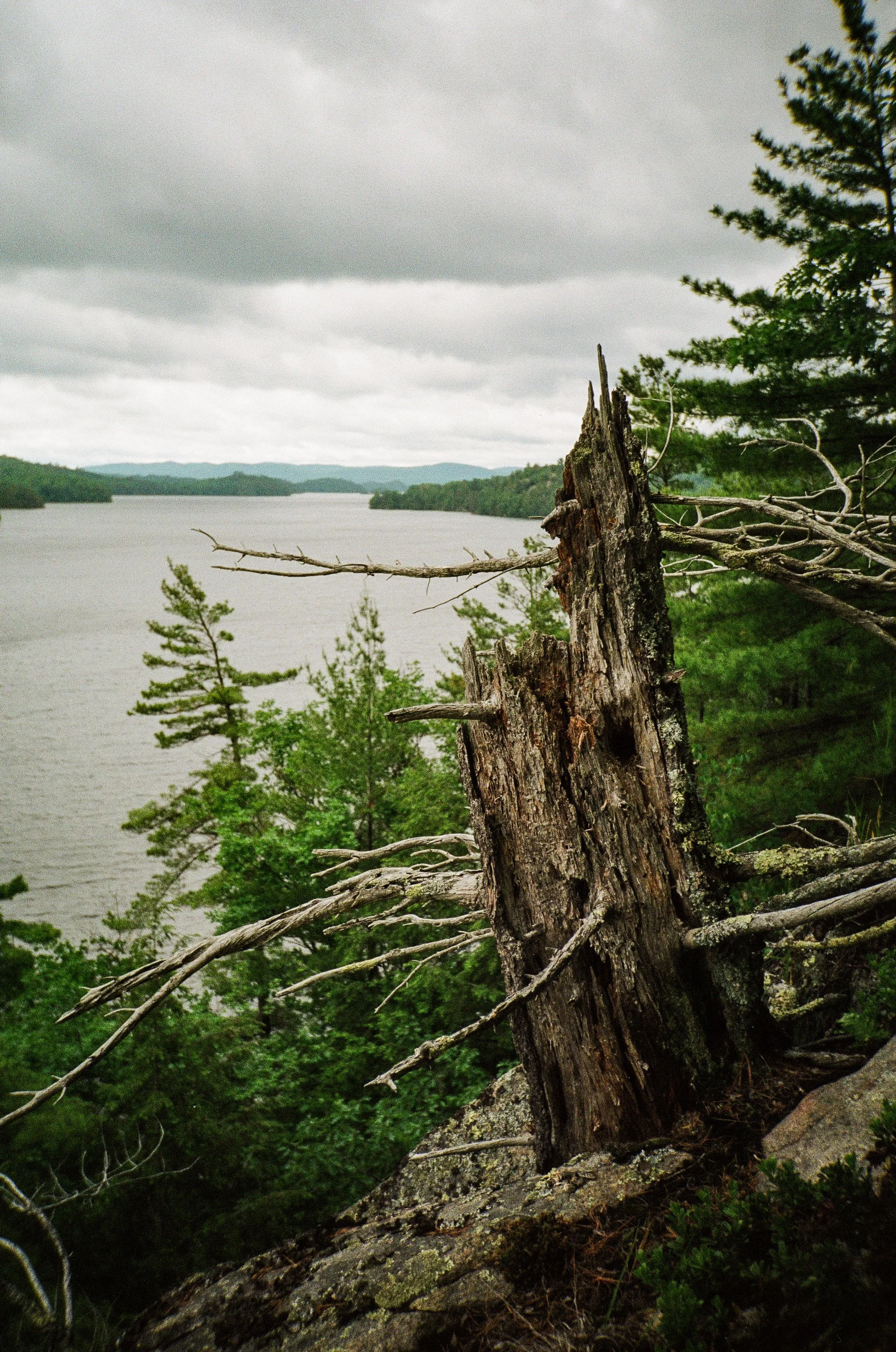 026068020025.jpg