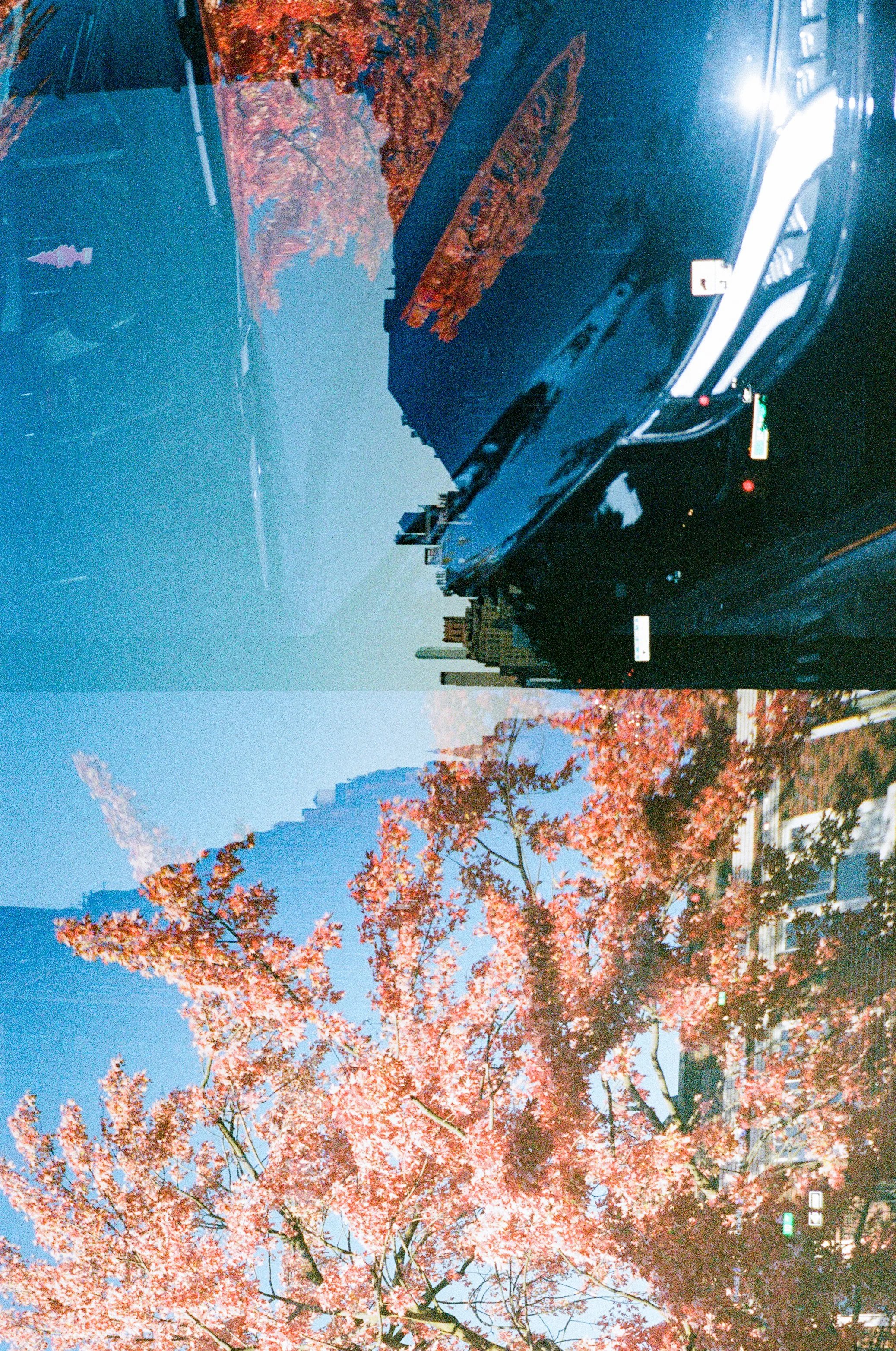 000043960017.jpg