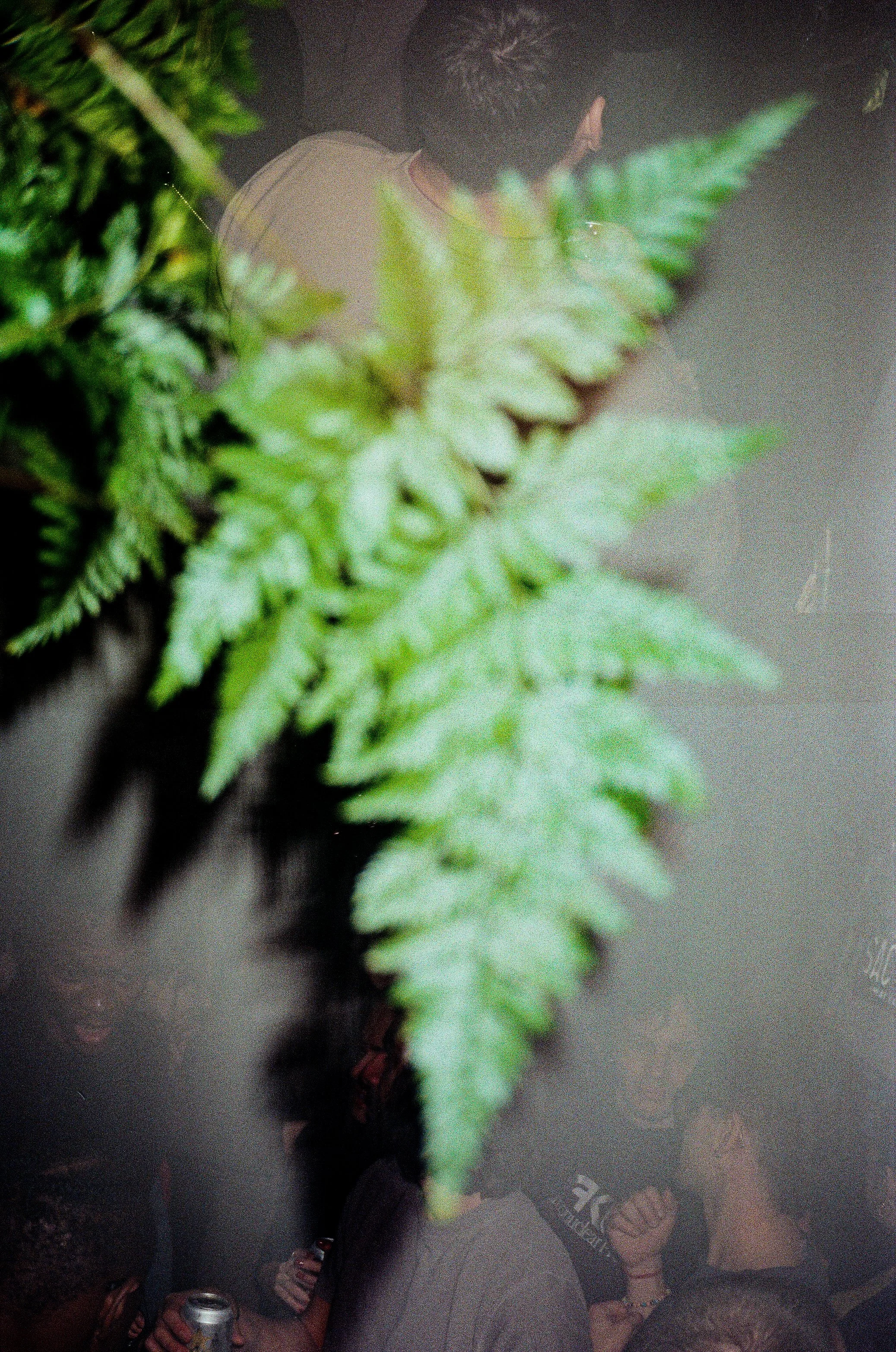 028038350012.jpg