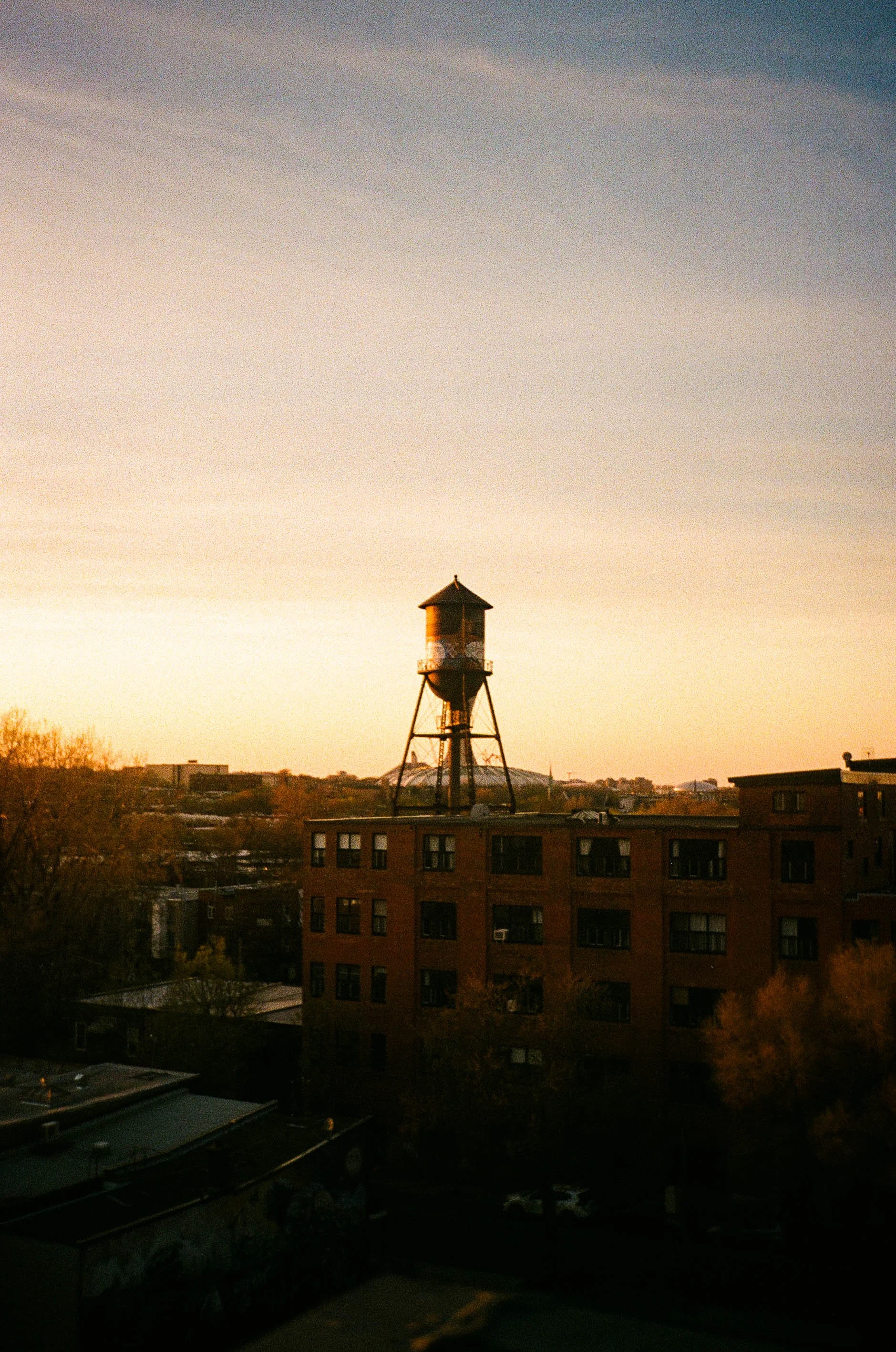 Sunday-5.jpg