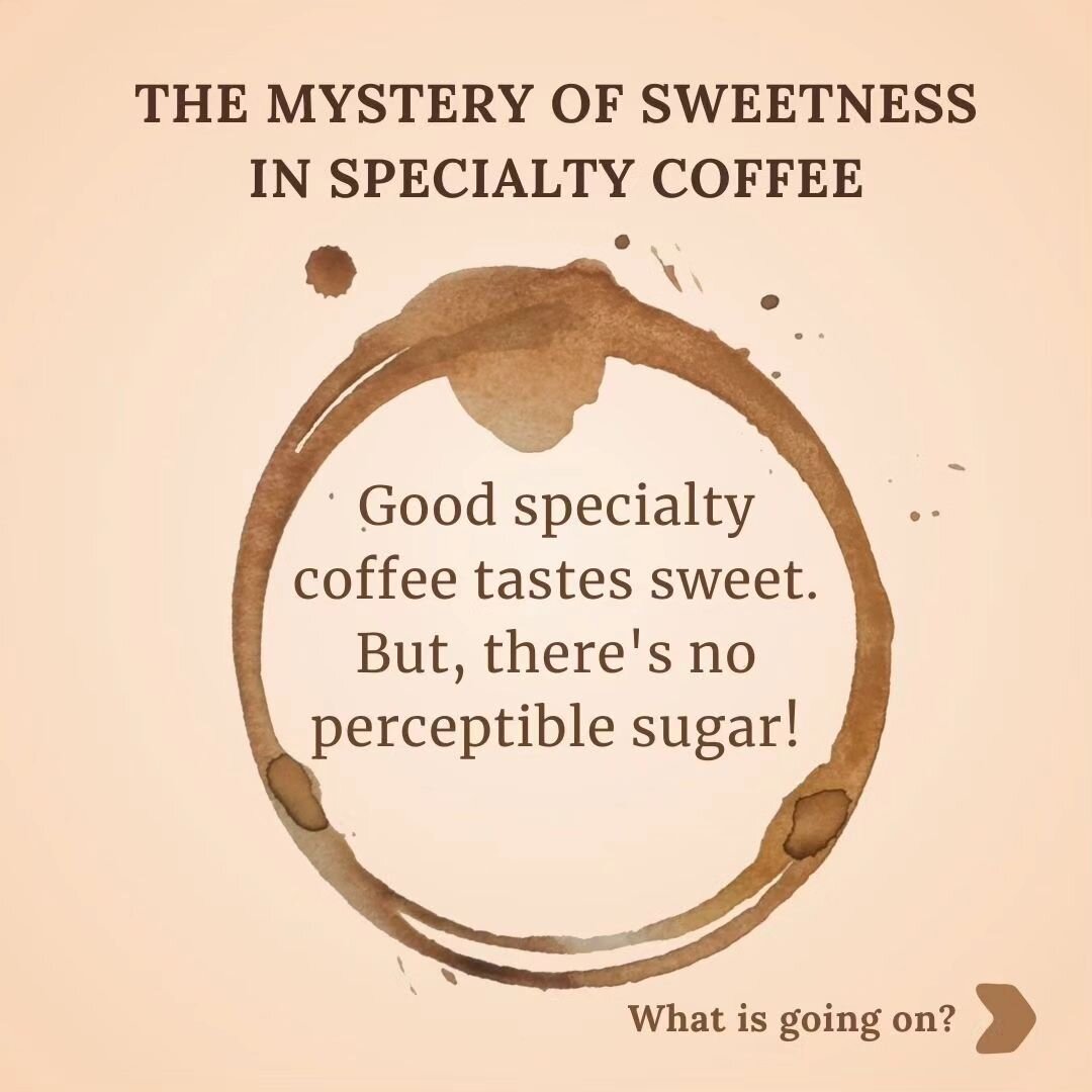 With some specialty coffees, it's mystifying how black filter beans can taste sweet with no milk or sugar added. 

Why is this? Are there artificial sweetener-type molecules interacting with our sweet taste receptors? Is it the brain hallucinating sw