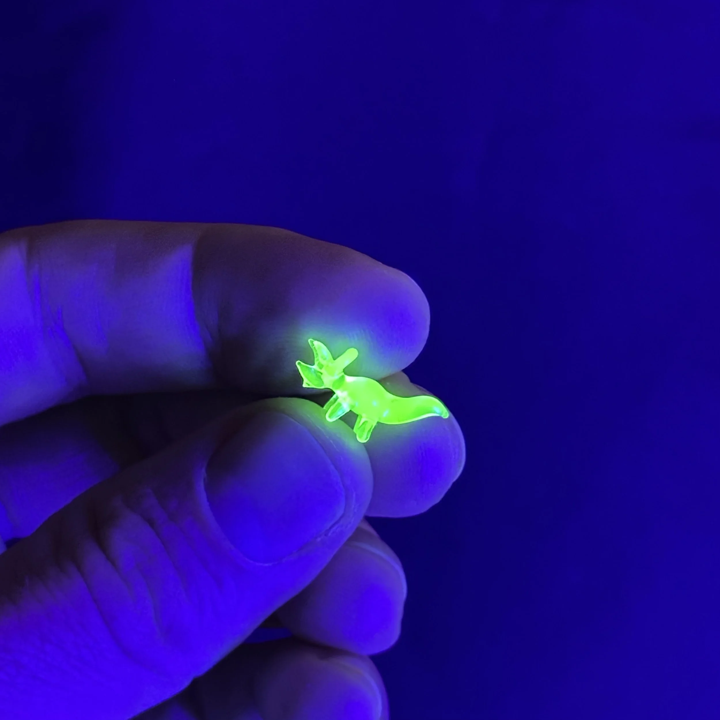 Super Mini Triceratops, UV Reactive Uranium