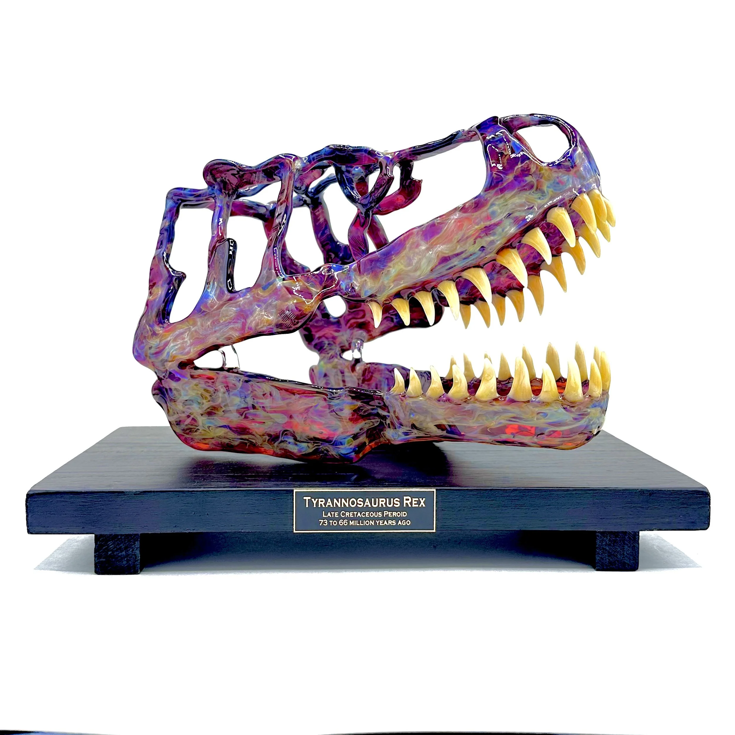 10 Inch Solid T Rex Skull Commission