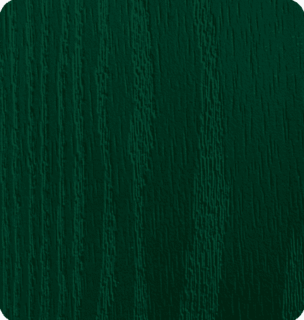 Close-up of dark green textured wood surface