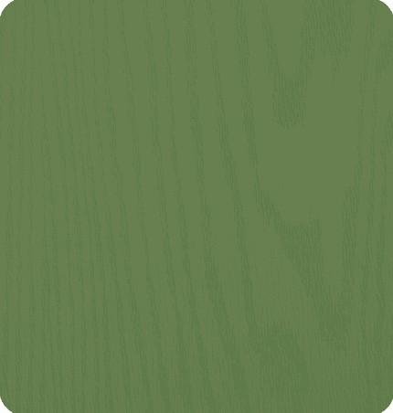 Close-up of a green wooden surface with visible grain texture.