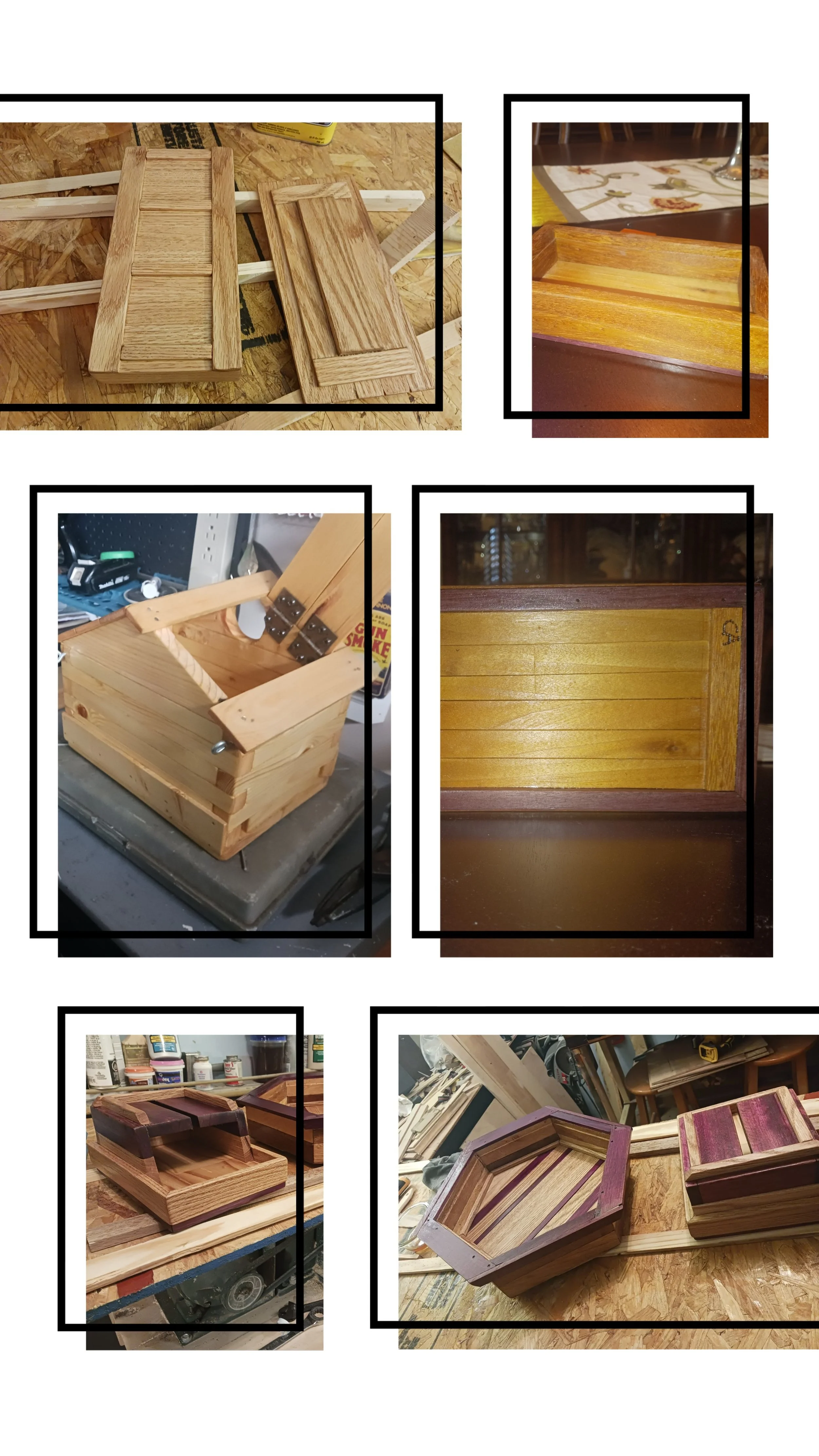 20231118_141925-COLLAGE.jpg