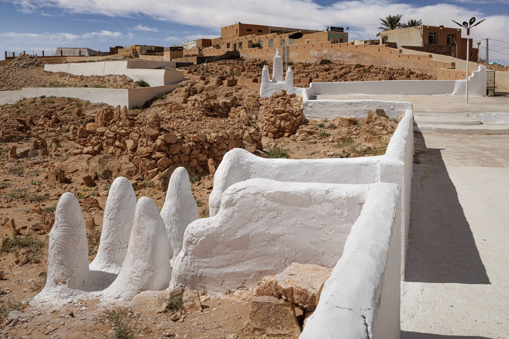 _S3A9896.jpg