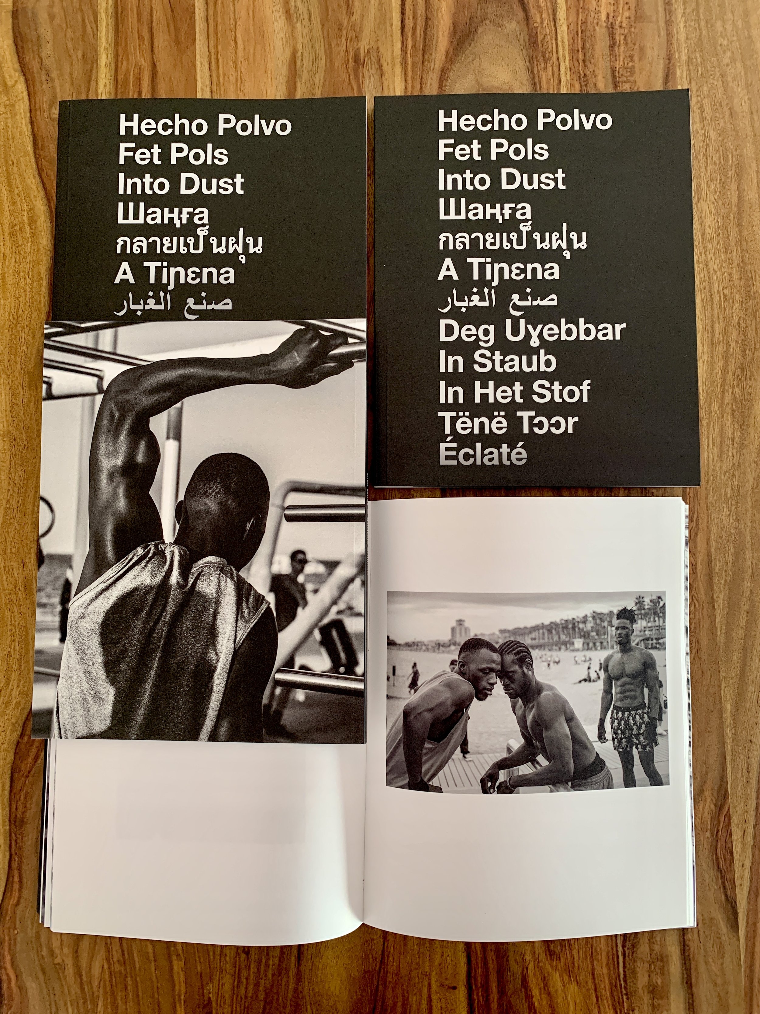 “Into Dust,” the Book