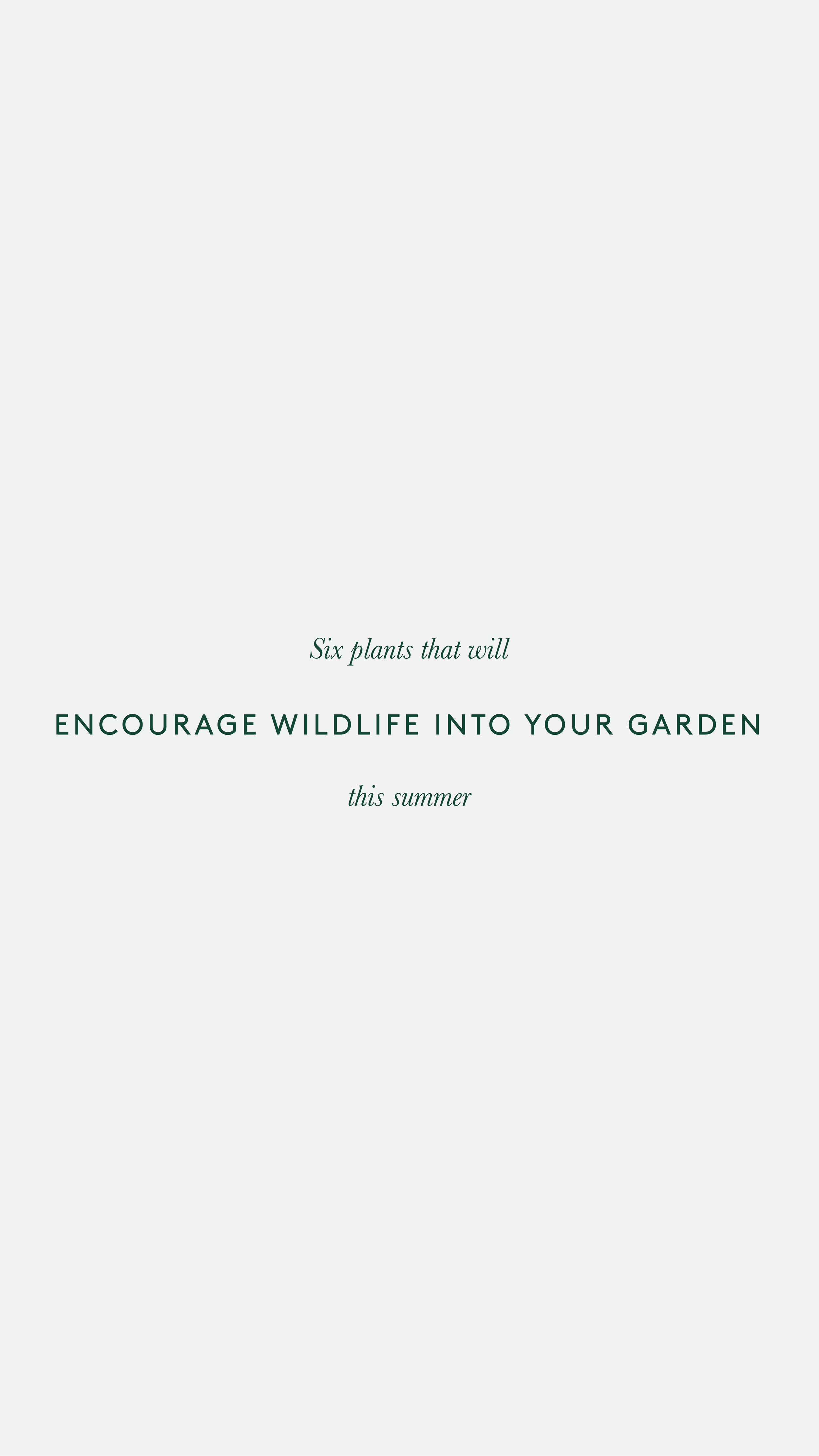 Pollinator Stories-01.png