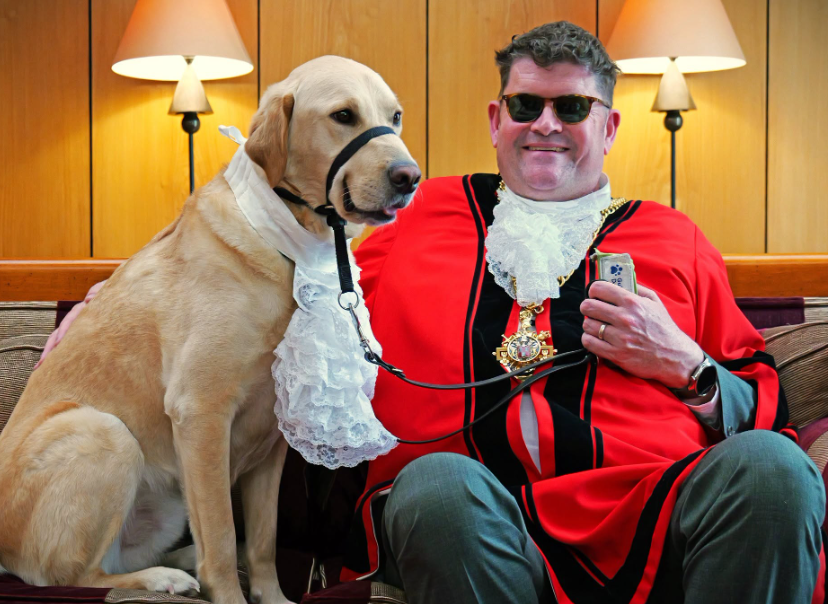 Guide dog in News