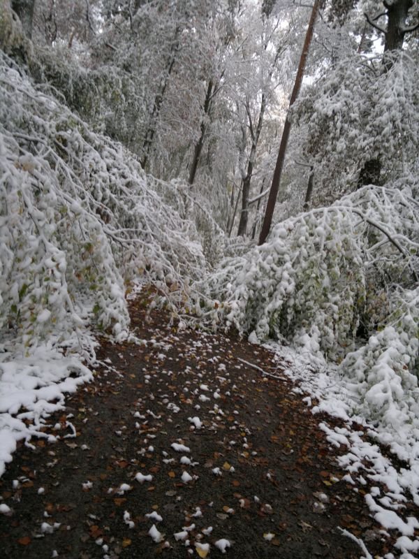Sonntag_20121021_07.jpeg