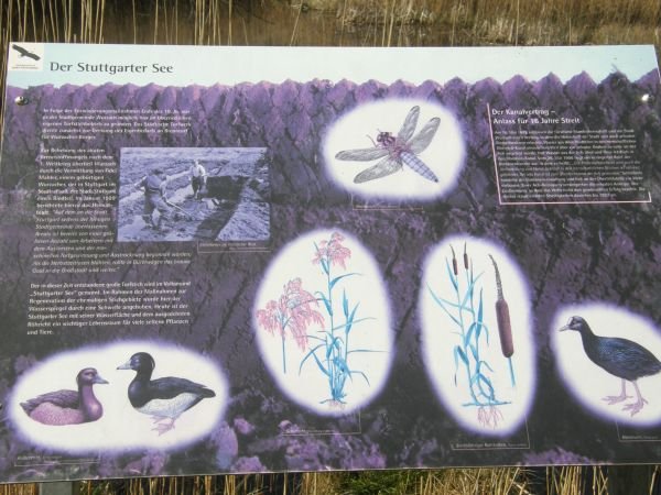 Image00016.jpeg