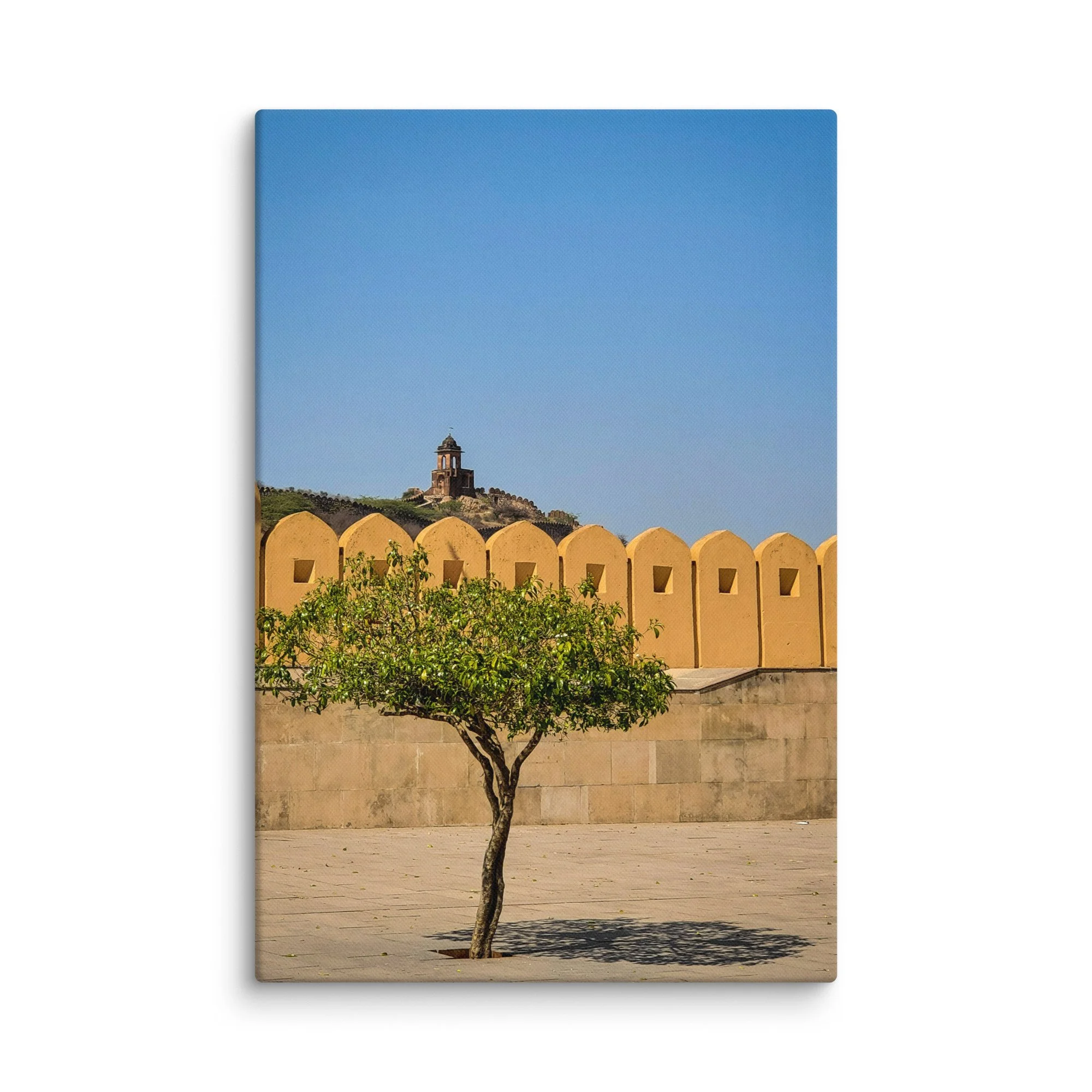 Elegant Amber Fort Jaipur yellow sandstone walls with lone tree and hilltop pavilion under blue sky – Rajasthan India heritage travel photography canvas print wall art decor