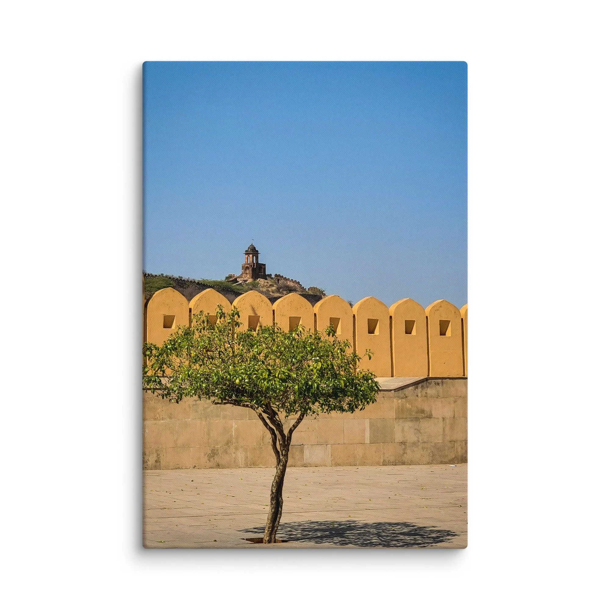 Elegant Amber Fort Jaipur yellow sandstone walls with lone tree and hilltop pavilion under blue sky – Rajasthan India heritage travel photography canvas print wall art decor