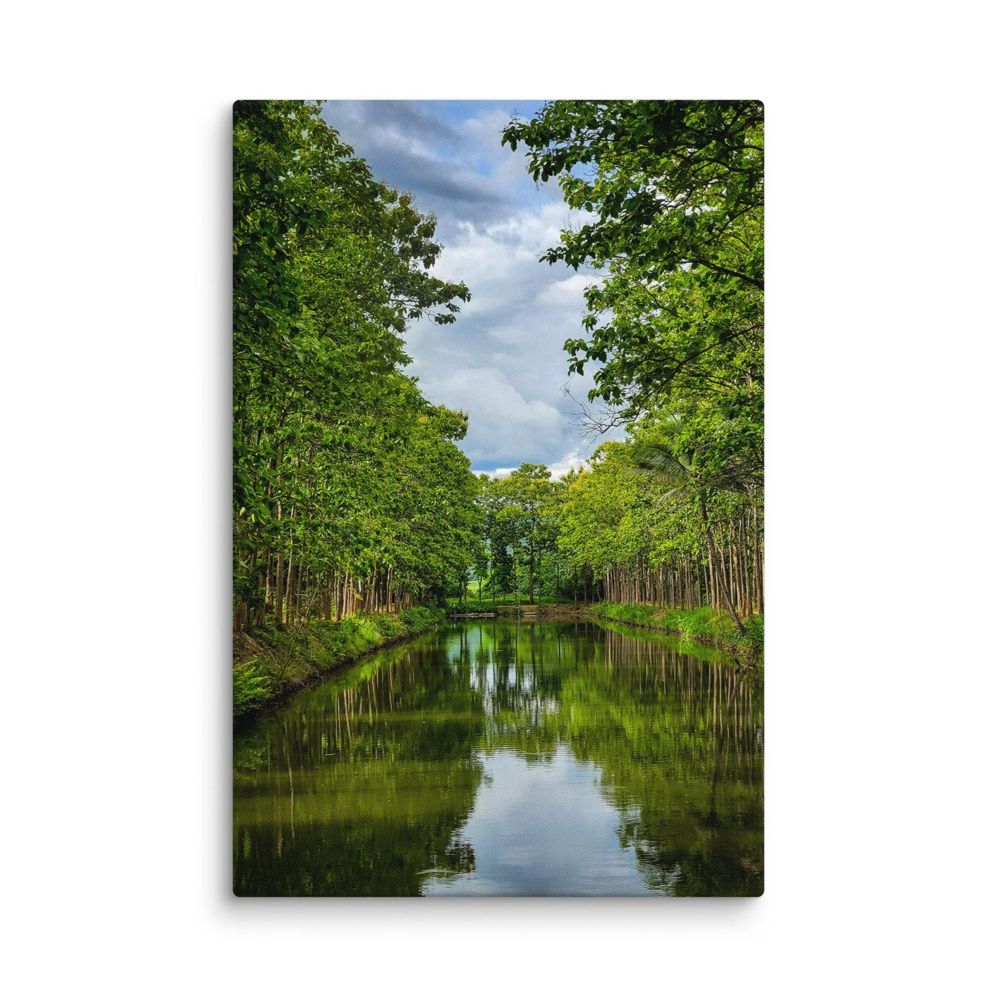 Serene canal in Pai, Thailand lined with lush green trees forming a natural tunnel with perfect water reflections – northern travel photography canvas print wall art decor