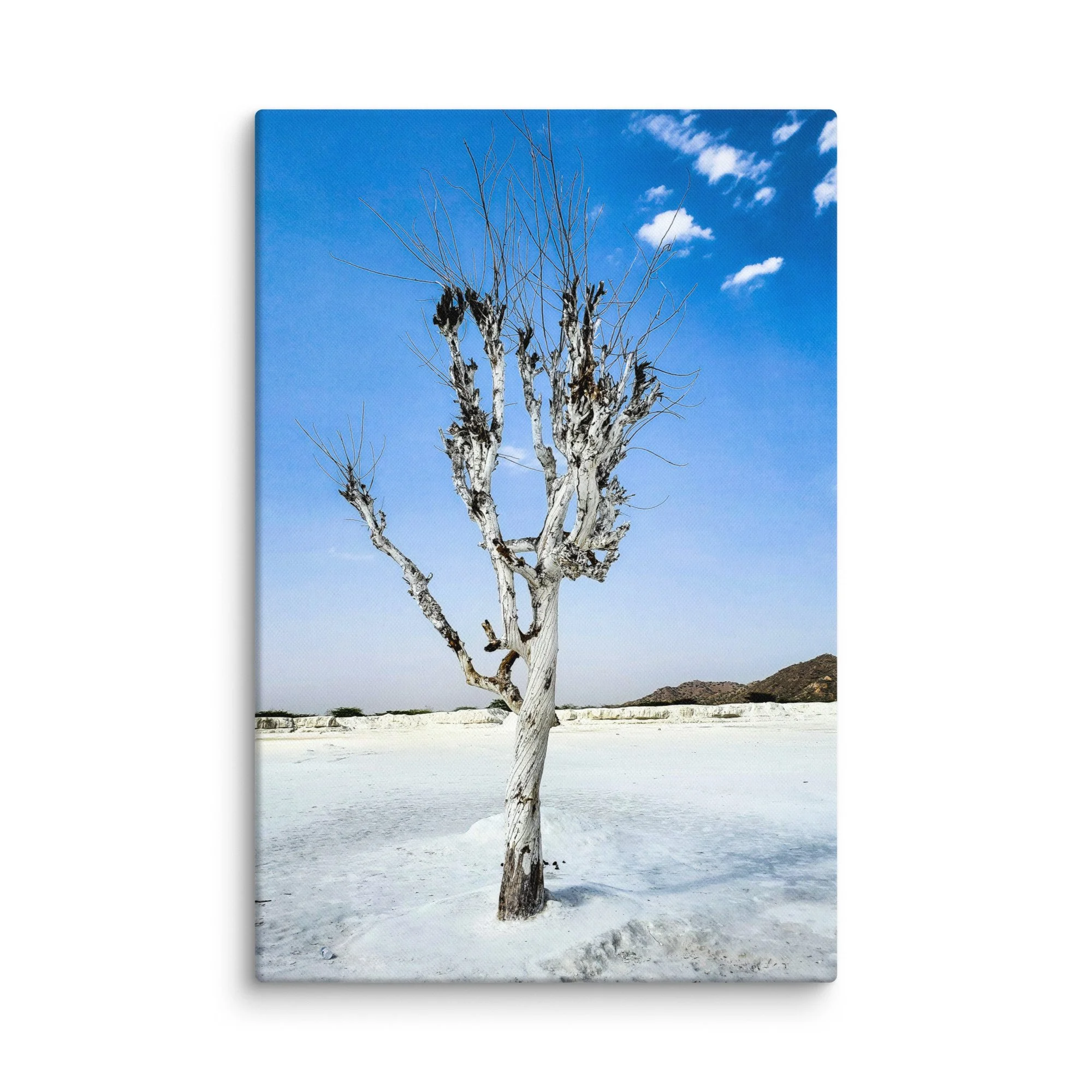 Lone twisted tree encrusted in salt standing in the vast white desert of Rann of Kutch, Rajasthan under blue sky – surreal India travel photography canvas print wall art decor
