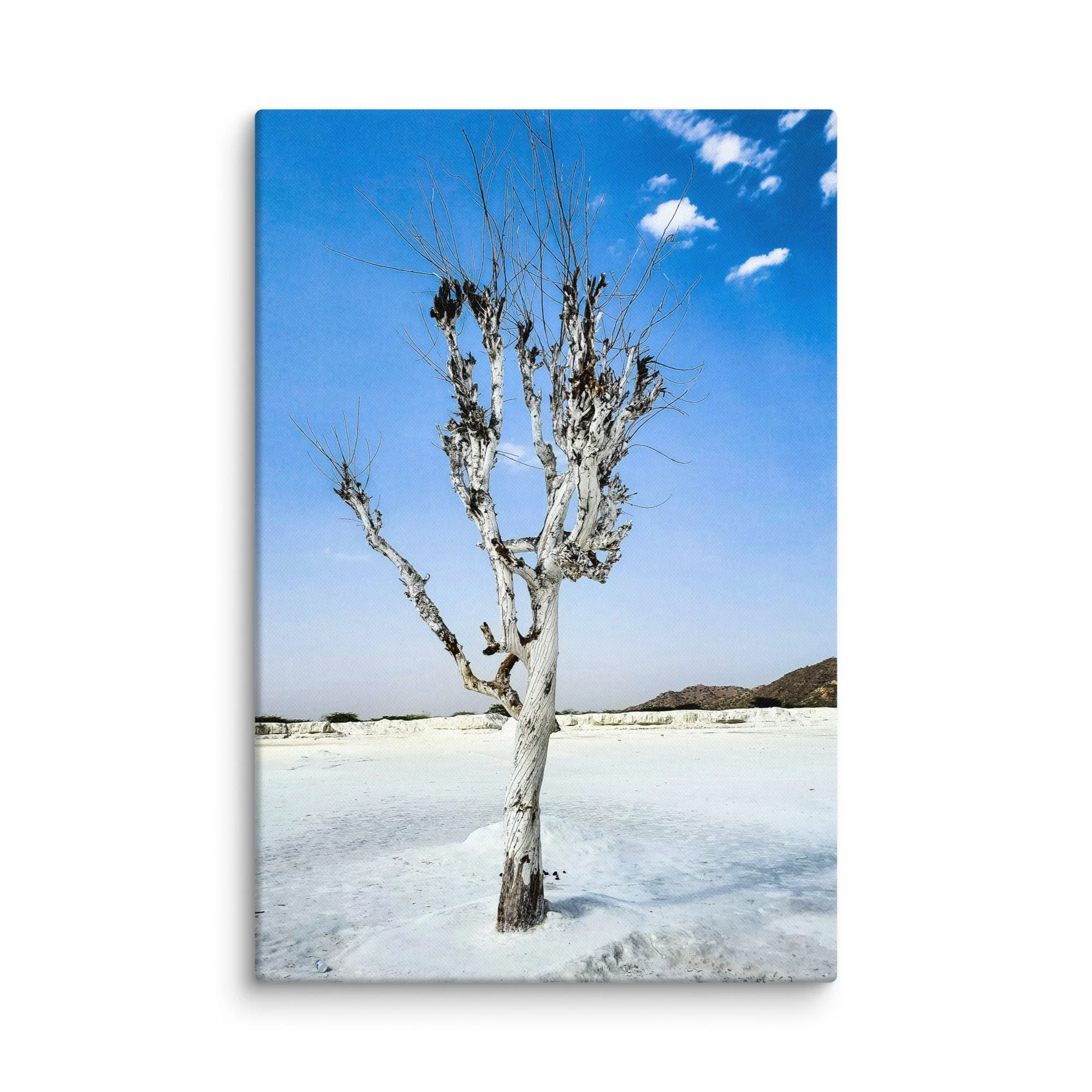 Lone twisted tree encrusted in salt standing in the vast white desert of Rann of Kutch, Rajasthan under blue sky – surreal India travel photography canvas print wall art decor