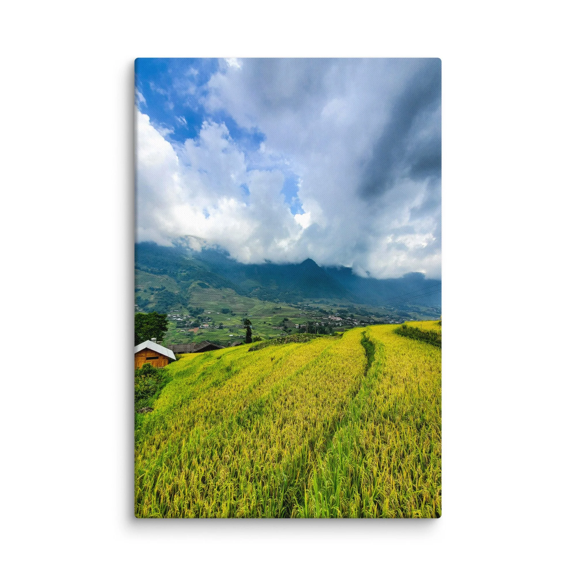 Golden rice terraces in Sapa, Vietnam with misty mountains, stilt houses and dramatic sky – northern highland travel photography canvas print wall art decor