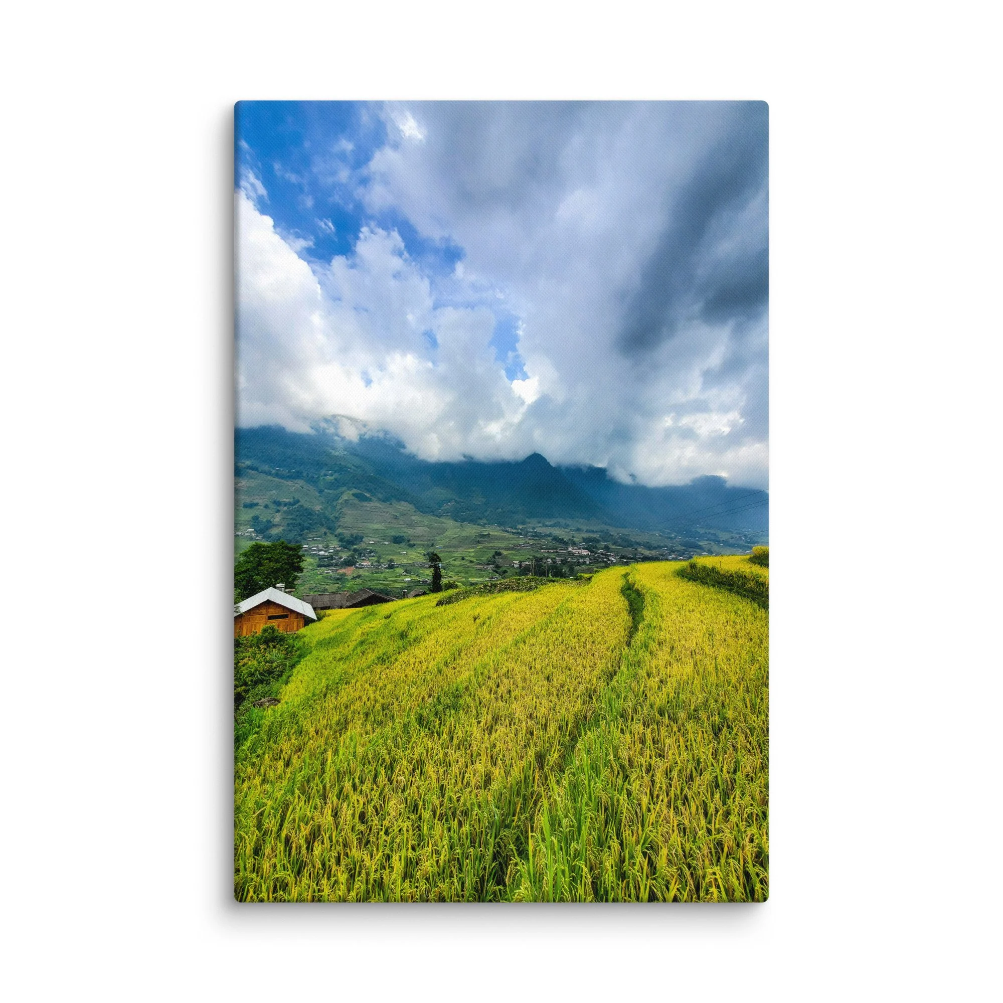 Golden rice terraces in Sapa, Vietnam with misty mountains, stilt houses and dramatic sky – northern highland travel photography canvas print wall art decor
