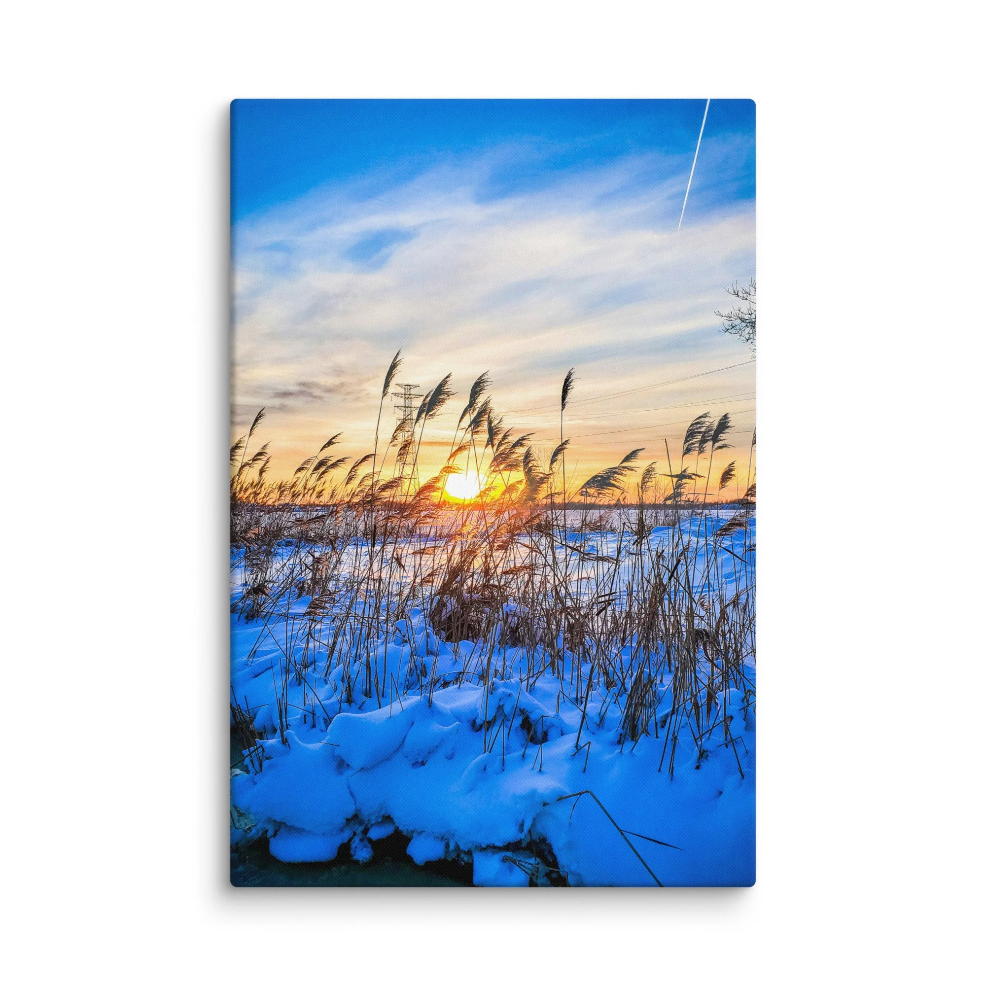 Serene frozen Baltic coast in Latvia with tall reeds in blue snow and golden sunset light – winter travel photography canvas print wall art decor