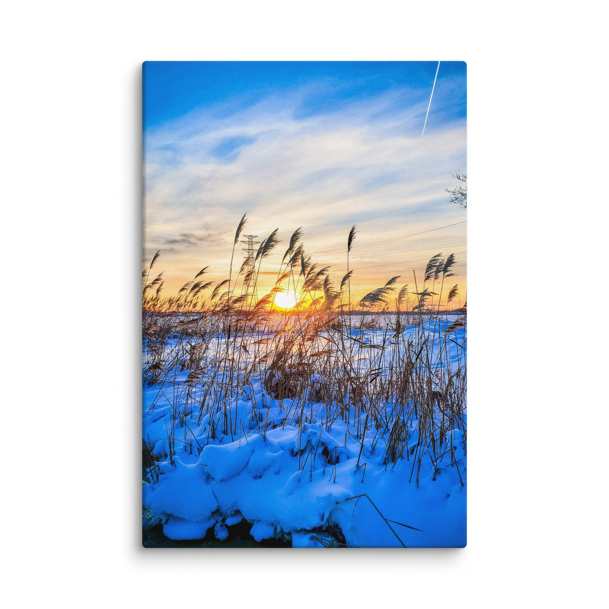 Serene frozen Baltic coast in Latvia with tall reeds in blue snow and golden sunset light – winter travel photography canvas print wall art decor