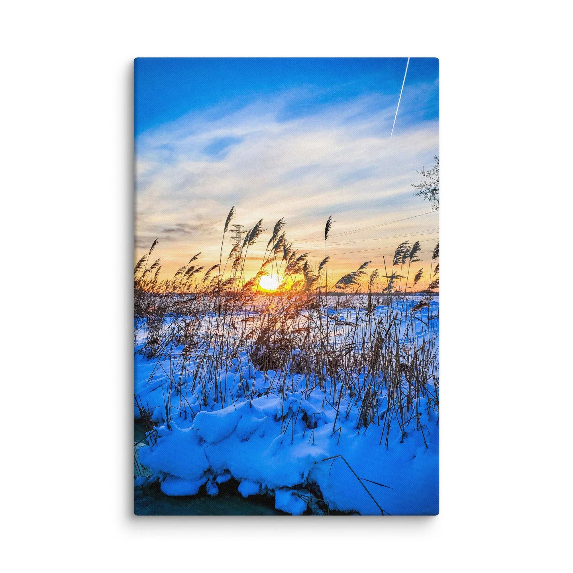 Serene frozen Baltic coast in Latvia with tall reeds in blue snow and golden sunset light – winter travel photography canvas print wall art decor